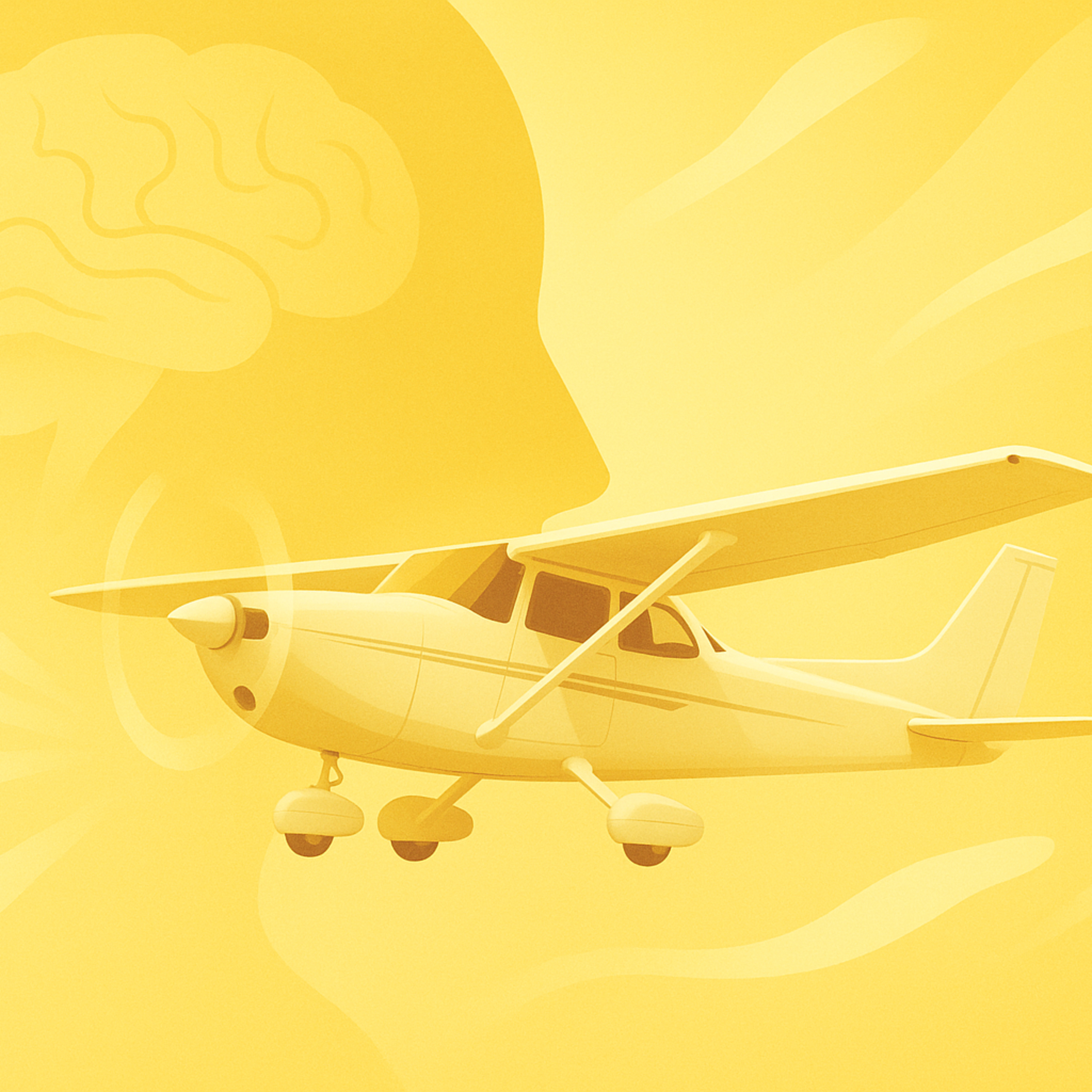 Fly The Scan - Instrument Flying from Concept to Cockpit