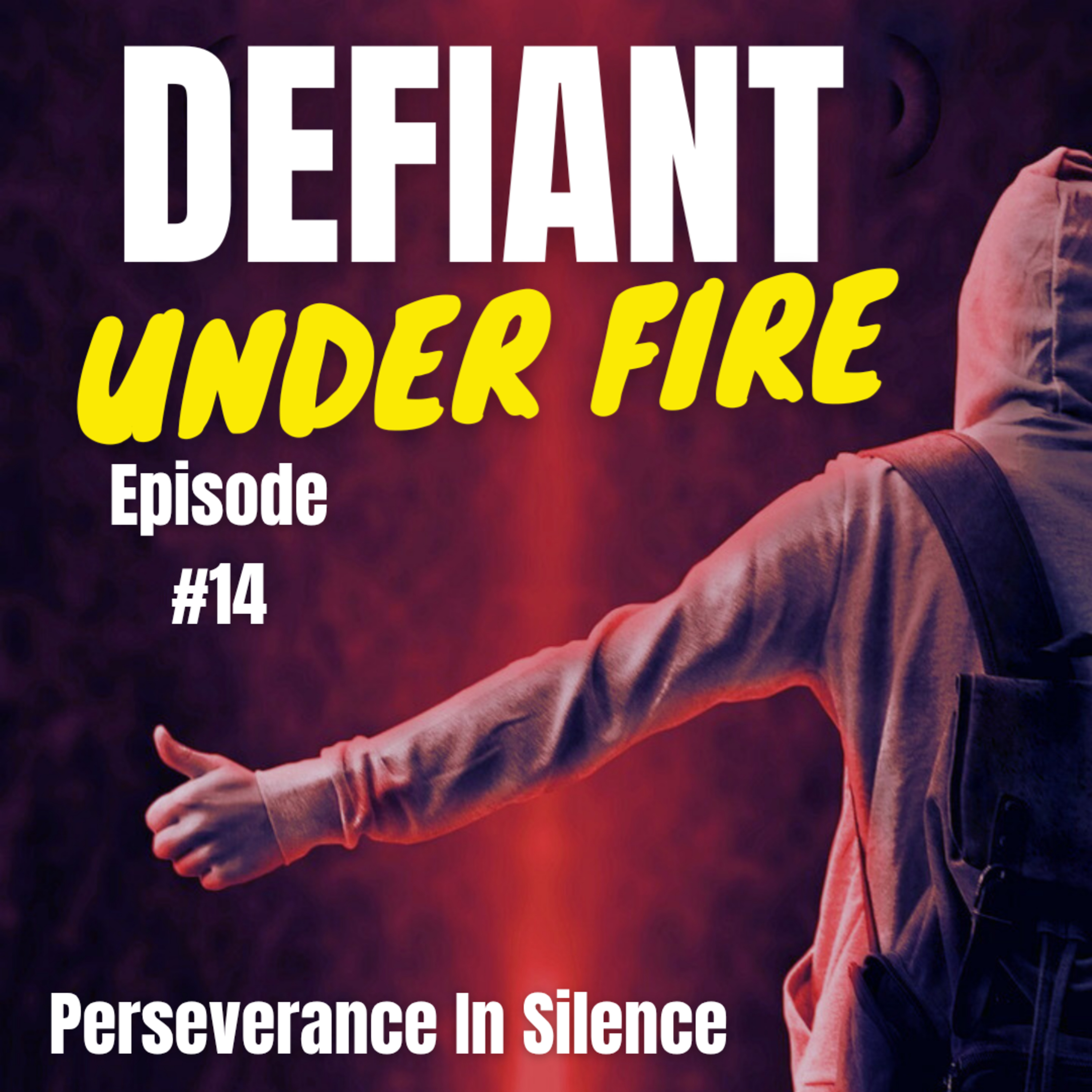 Perseverce In Silence - Episode 14 episode artwork