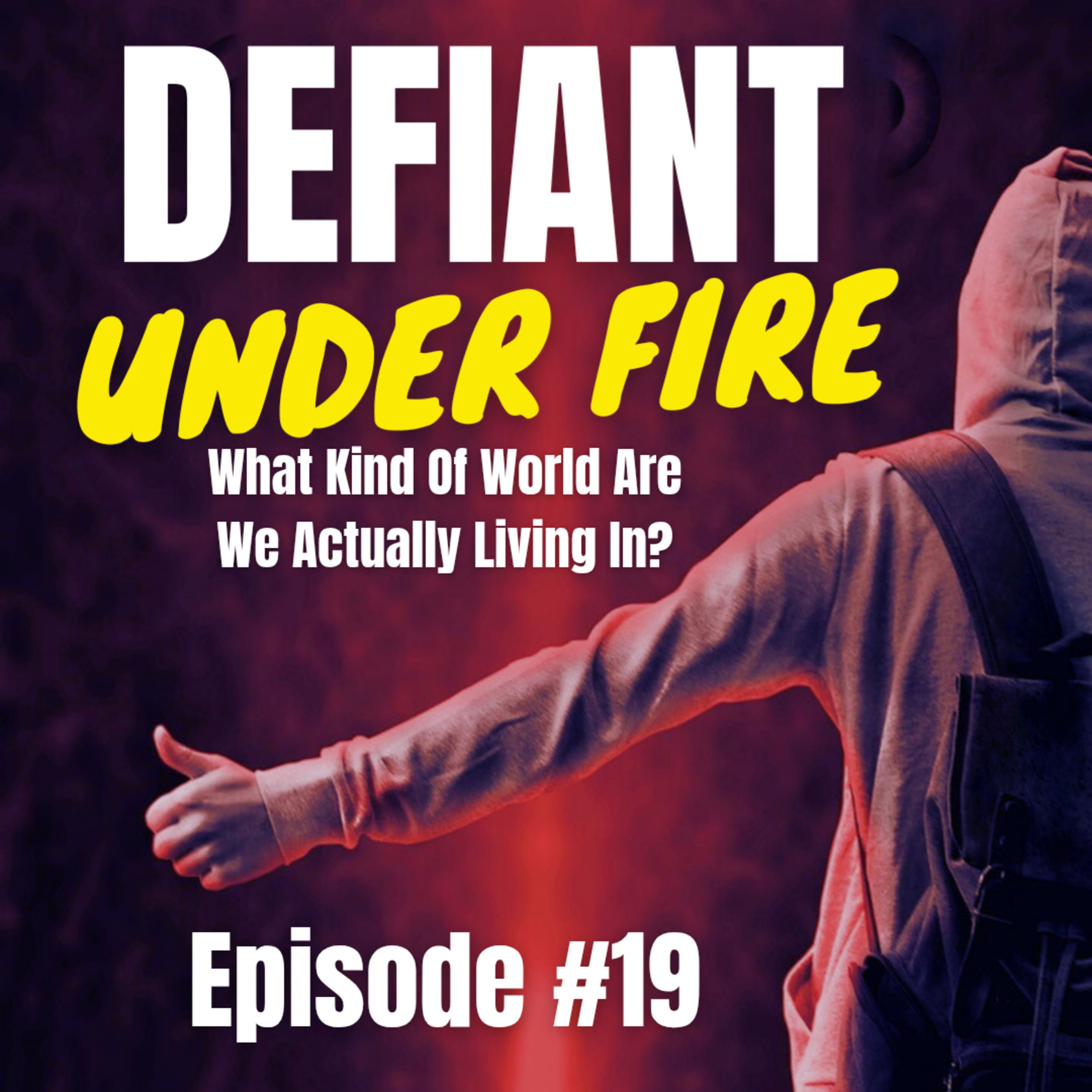 What Kind Of World Are We Actually Living In? - Episode #19 episode artwork