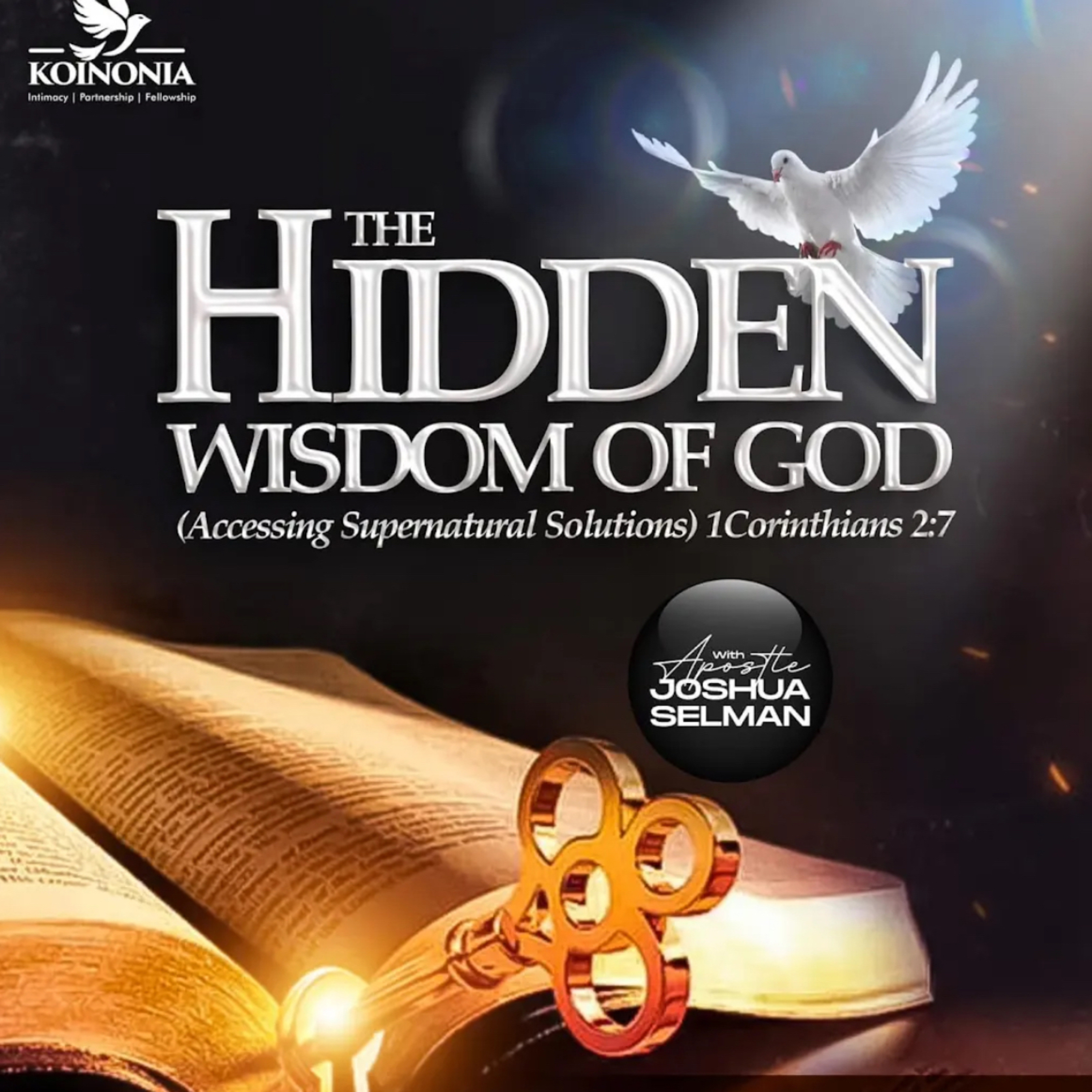 THE HIDDEN WISDOM OF GOD (ACCESSING SUPERNATURAL SOLUTIONS) episode artwork