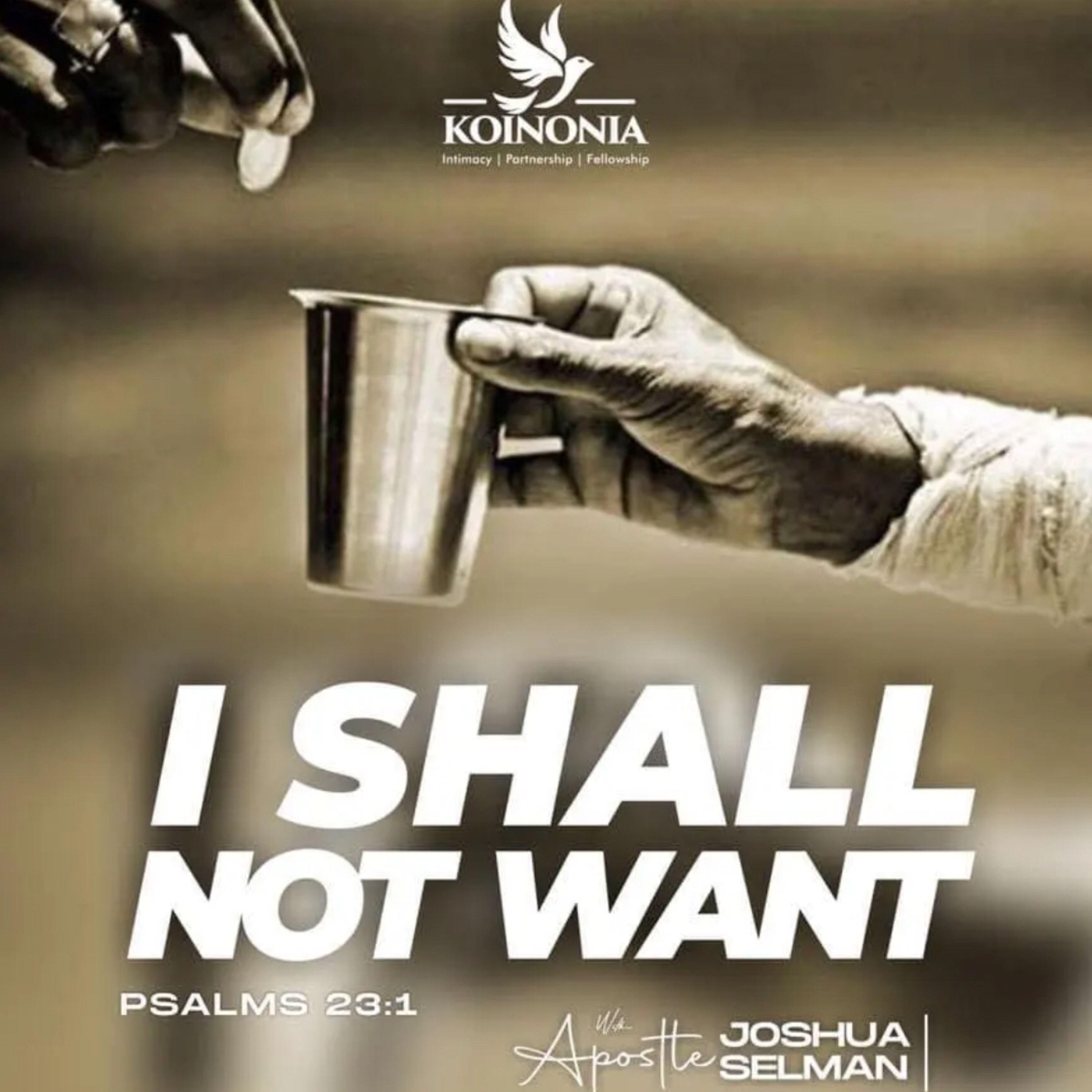 I SHALL NOT WANT (Koinonia Abuja December, 2023) With Apostle Joshua Selman episode artwork
