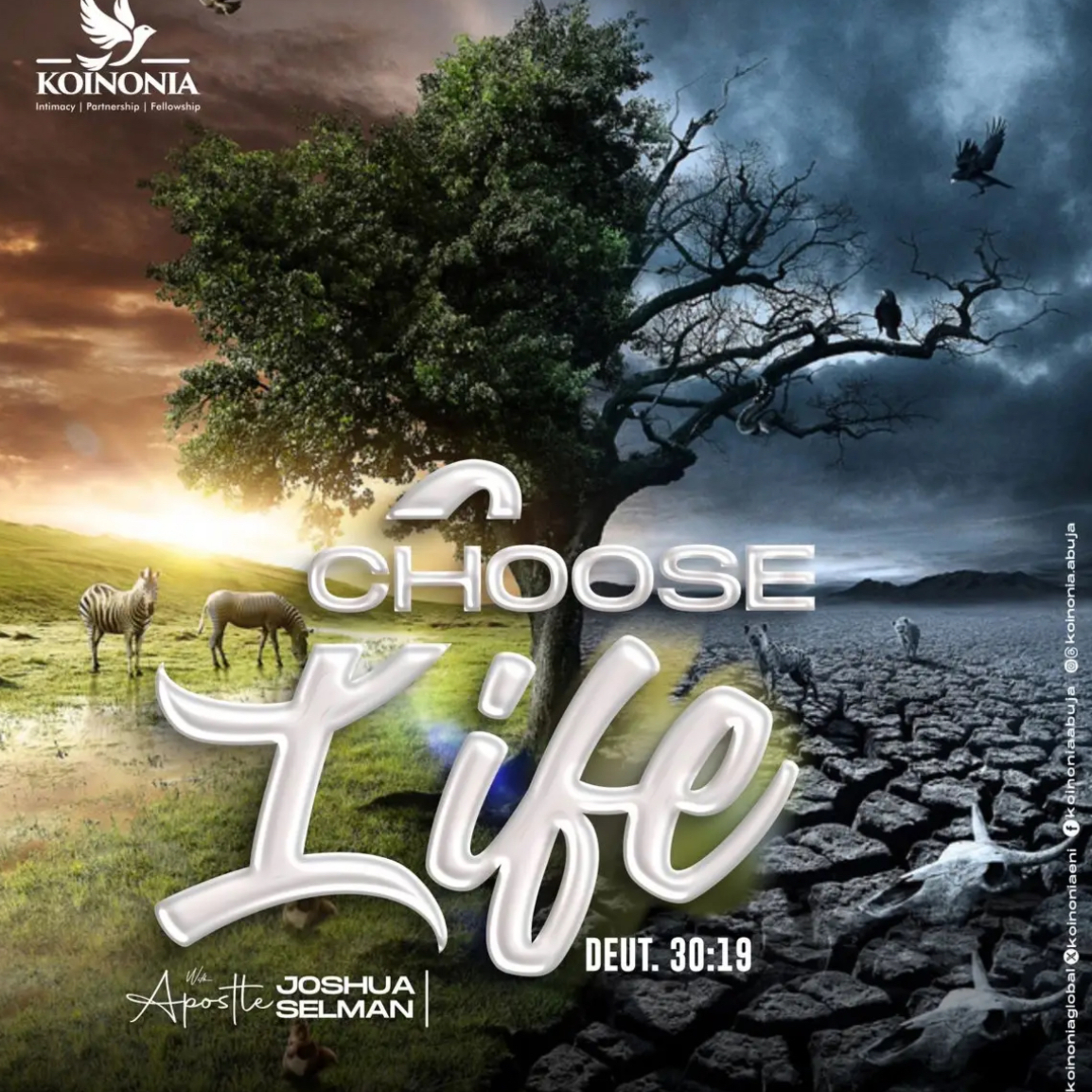 CHOOSE-LIFE-KOINONIA (ABUJA December, 2023) WITH APOSTLE JOSHUA SELMAN NIMMAK episode artwork