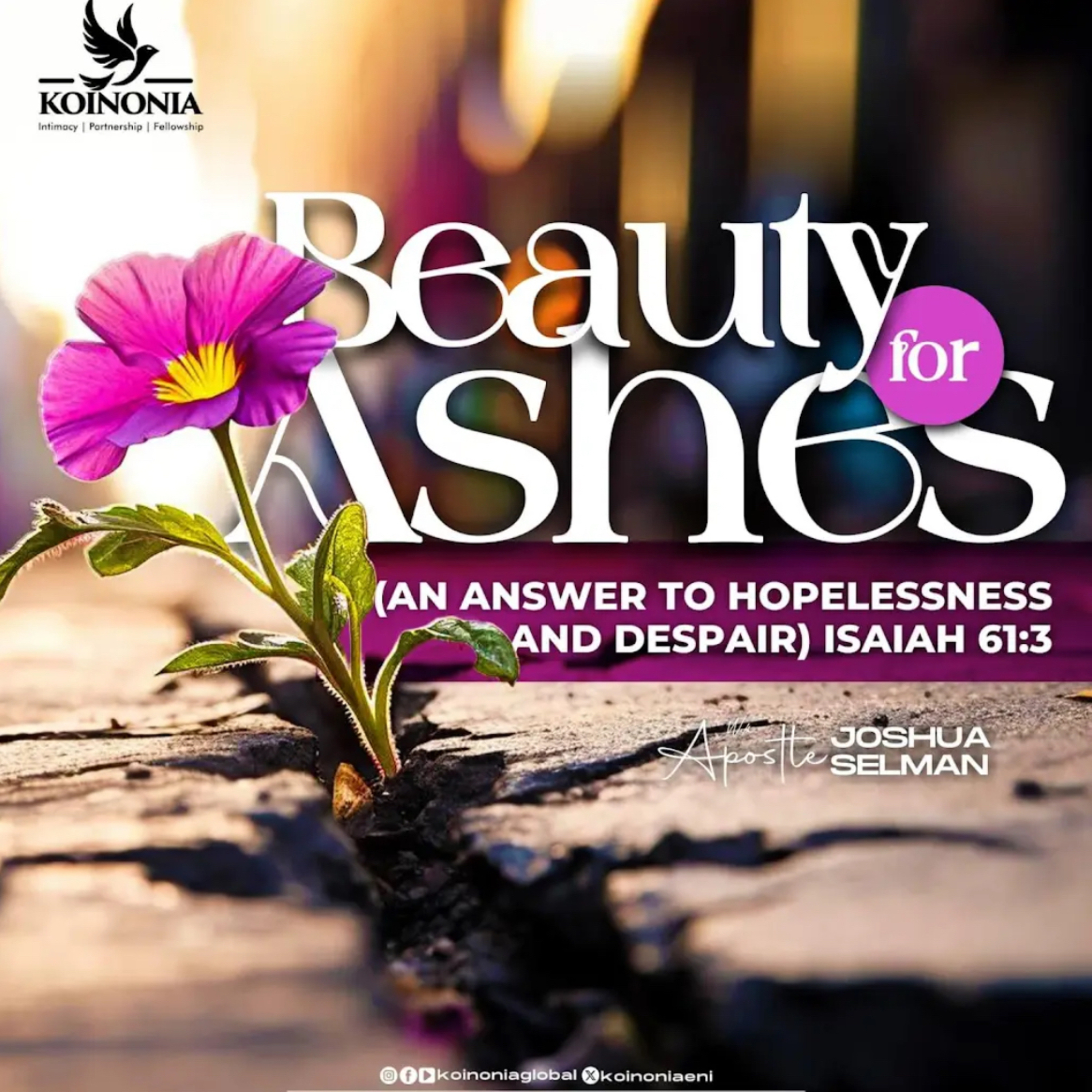 BEAUTY FOR ASHES WITH APOSTLE JOSHUA SELMAN episode artwork