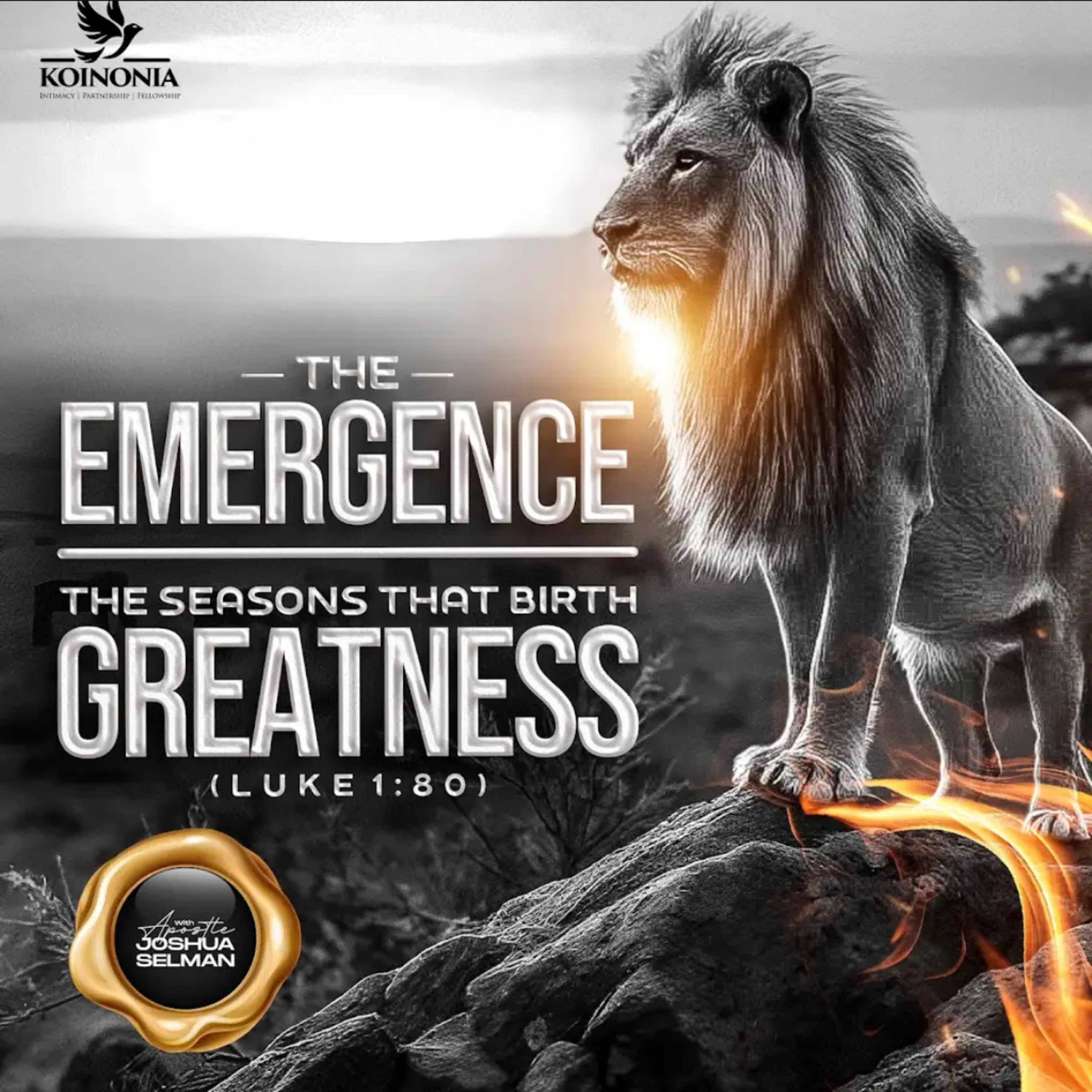 THE EMERGENCE (THE SEASONS THAT BIRTH GREATNESS) -LUKE 1:80- WITH APOSTLE JOSHUA SELMAN episode artwork