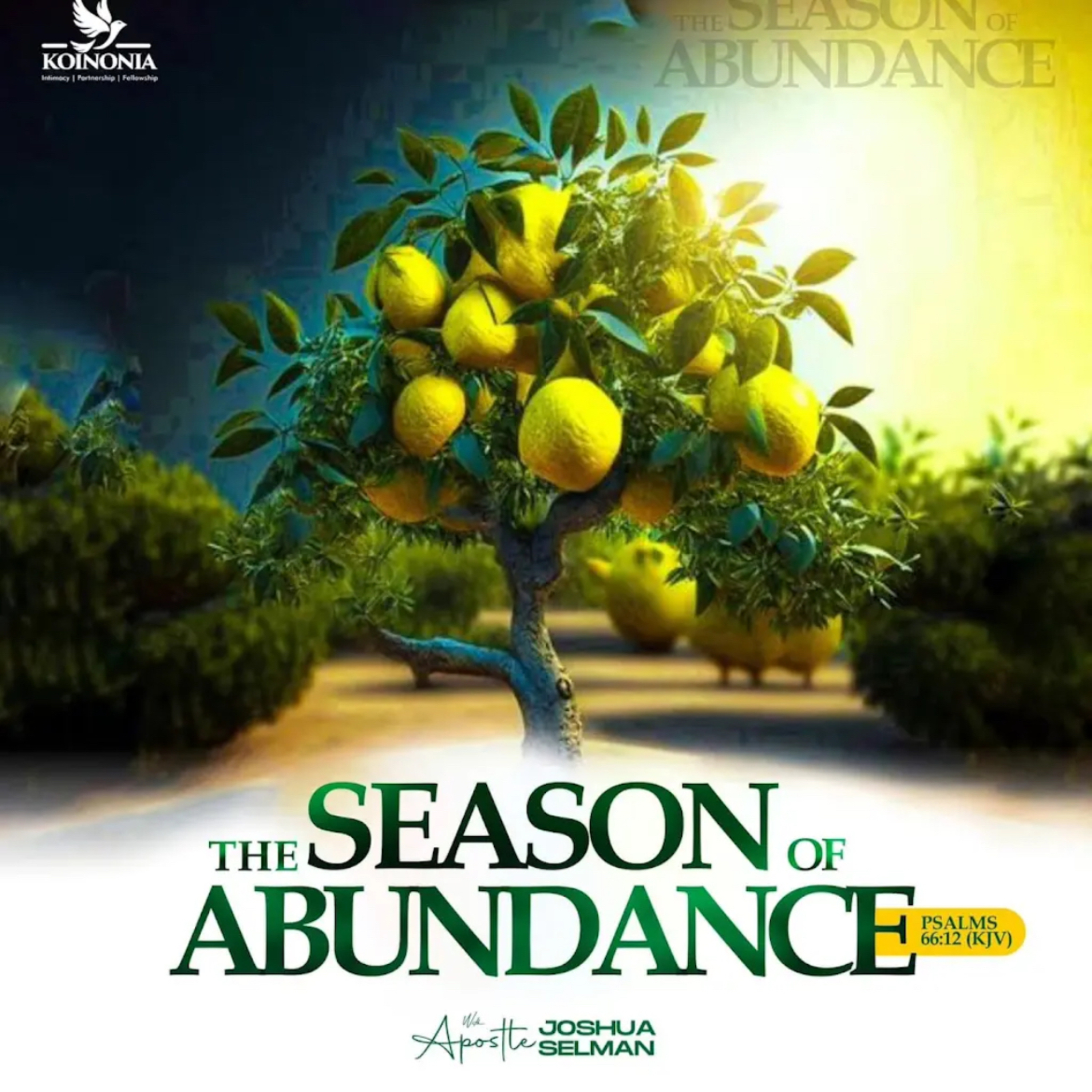 THE SEASON OF ABUNDANCE WITH APOSTLE JOSHUA SELMAN
