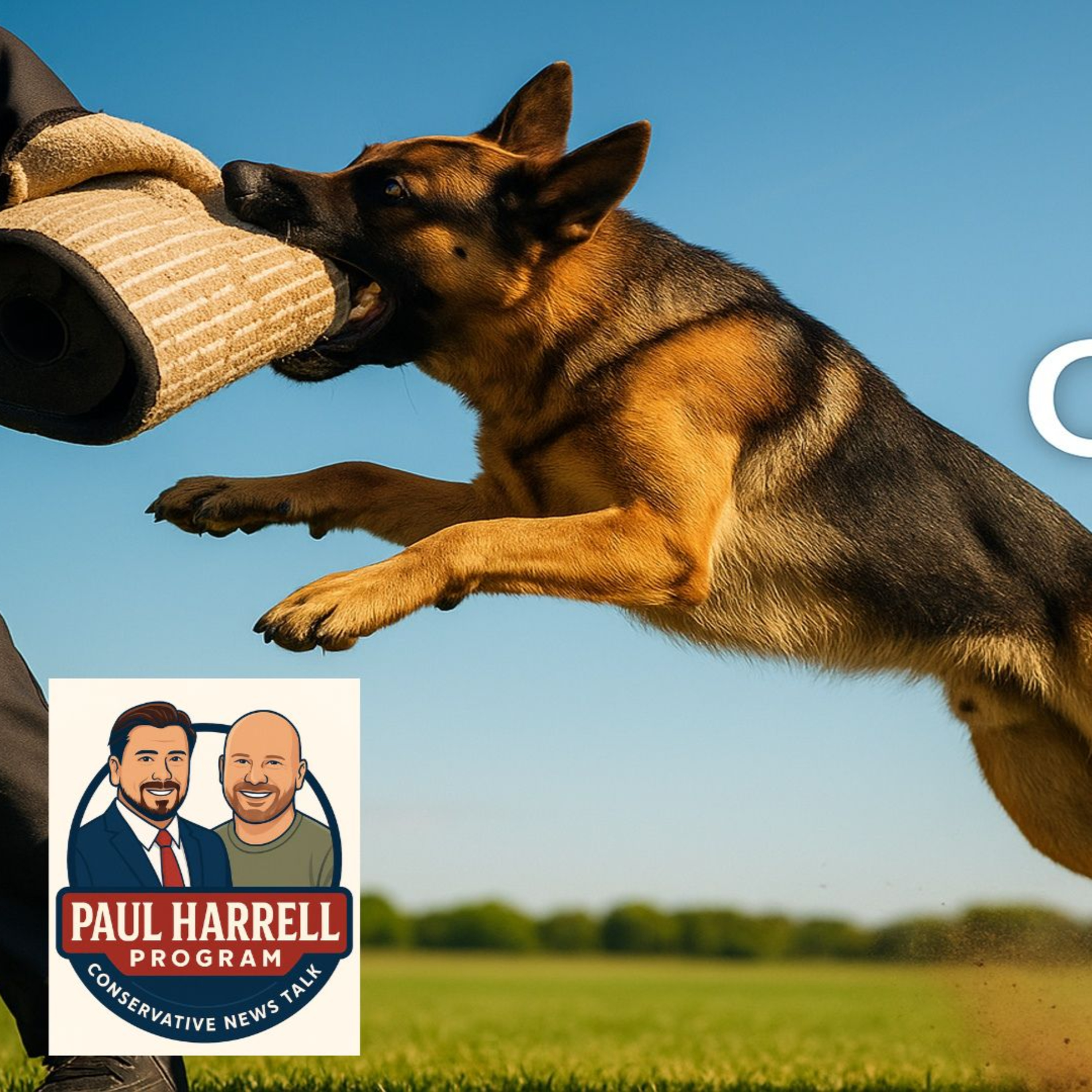 Paul Harrell Program