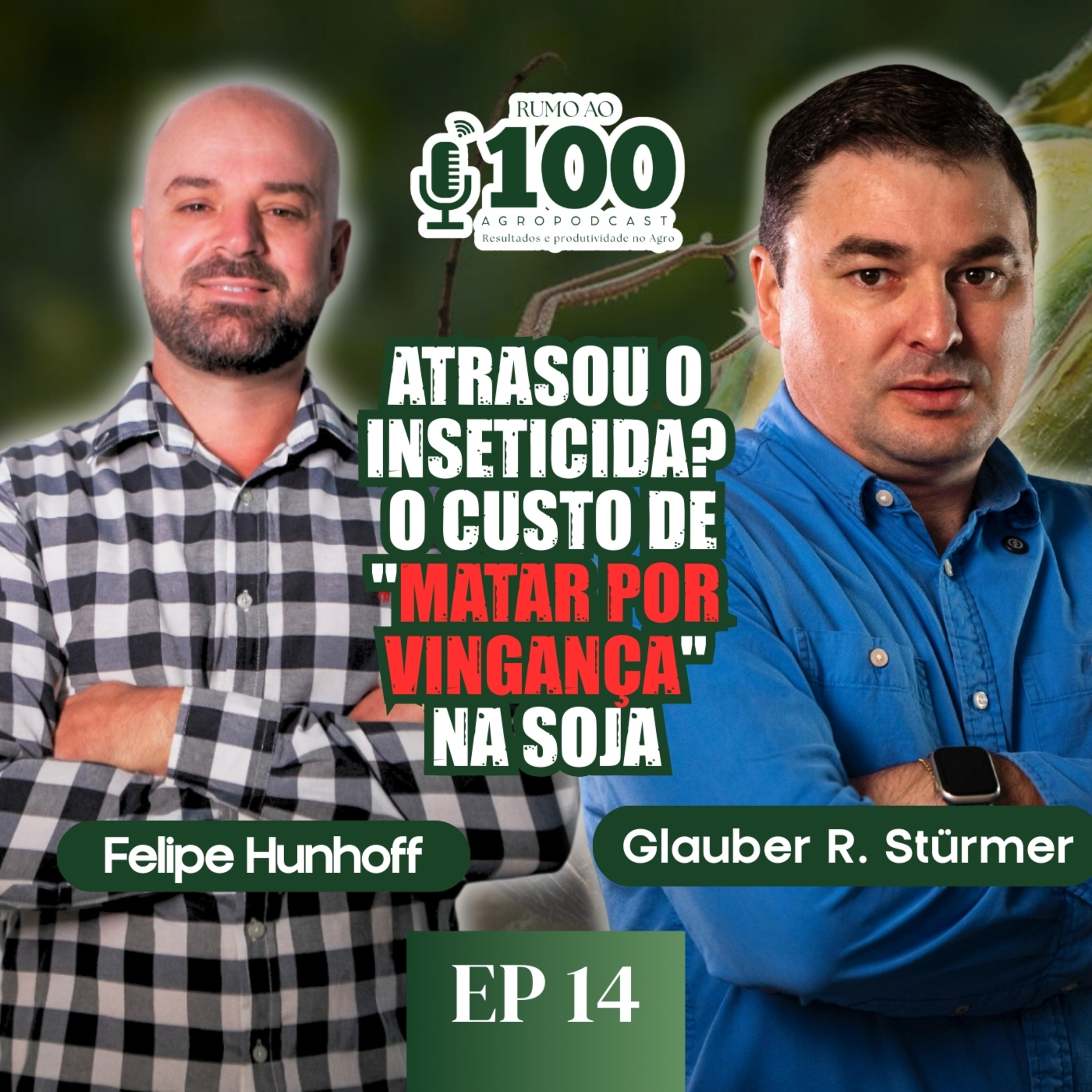 Rumo ao 100