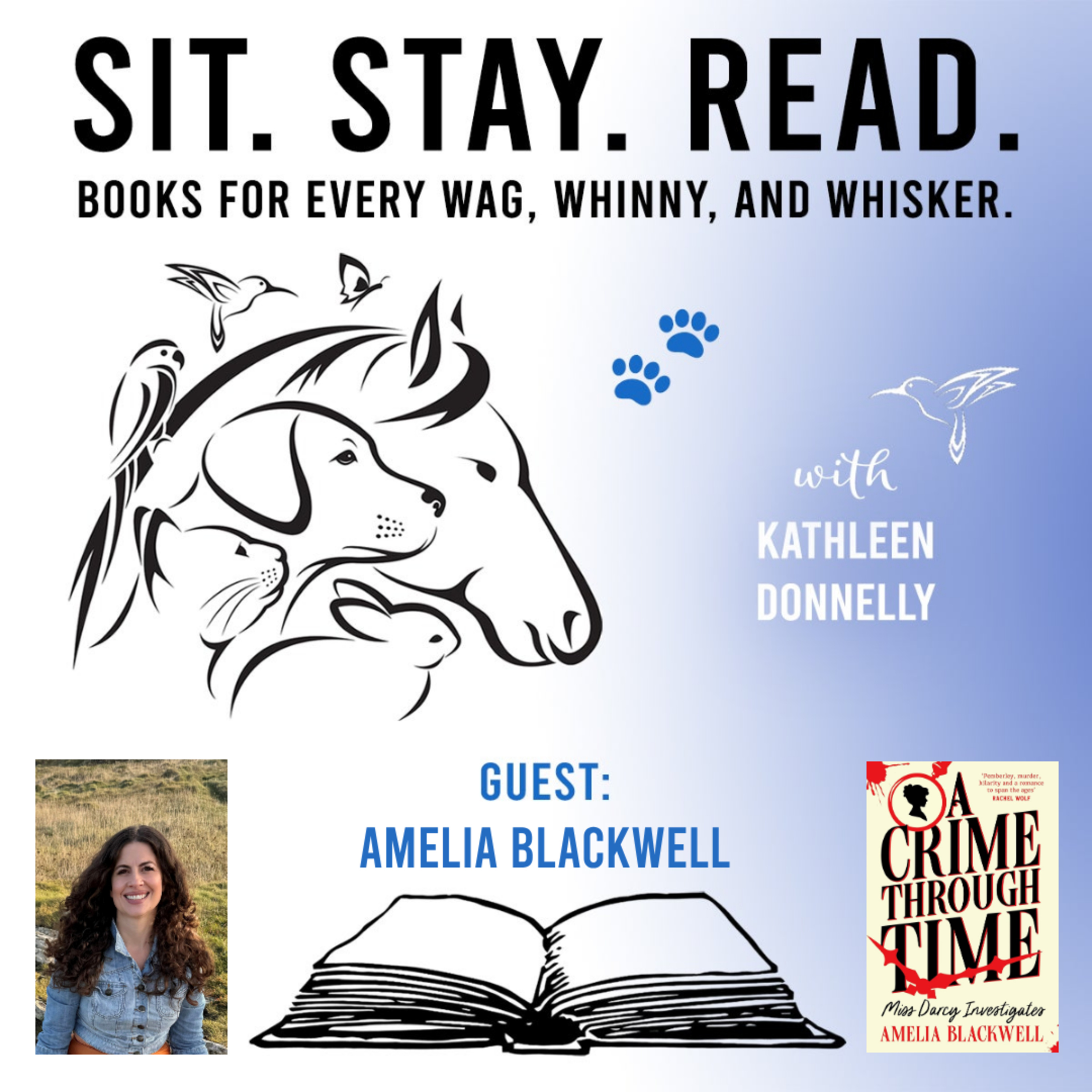 Miss Darcy in 1995? Amelia Blackwell on Time Travel, Mysteries and Jane Austen