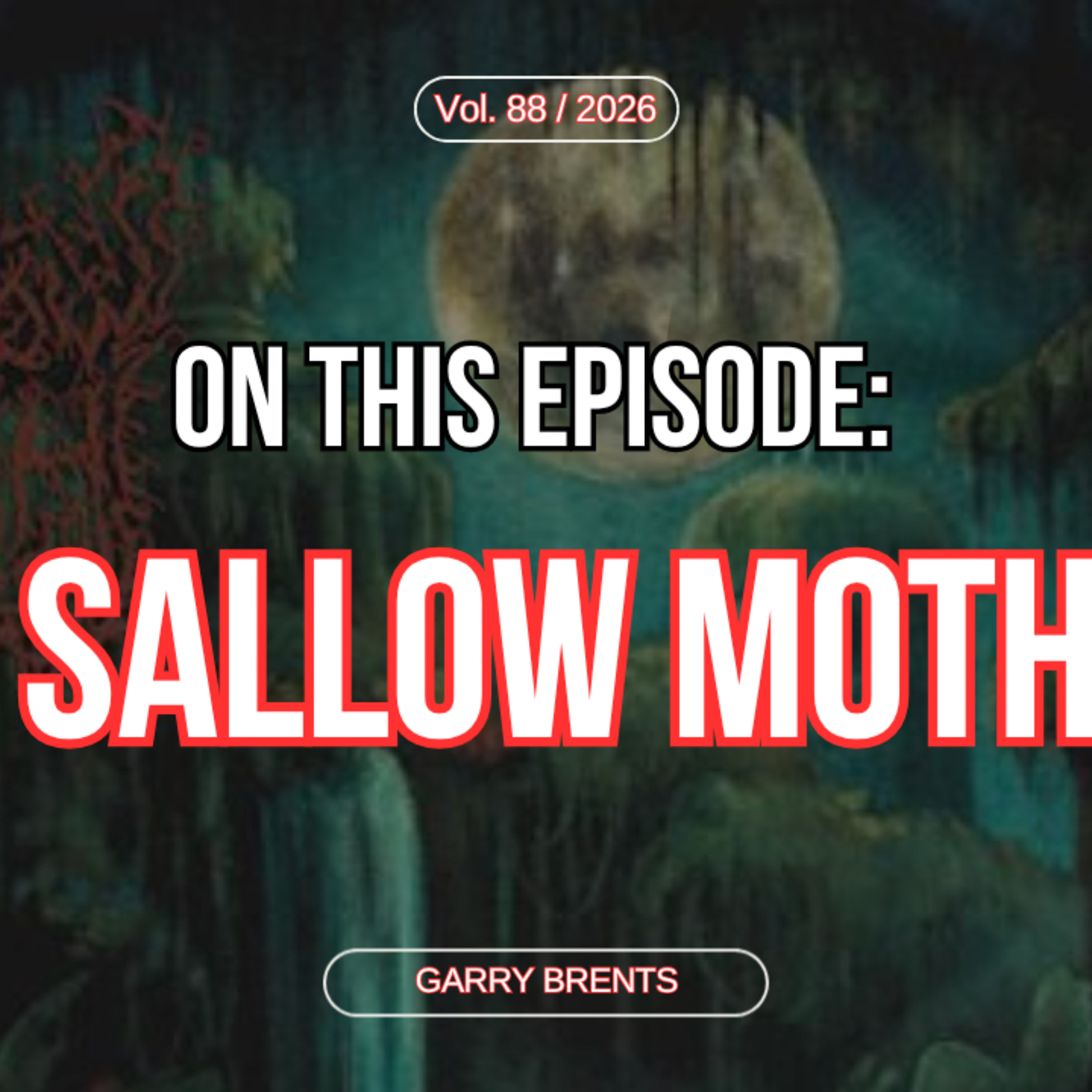 Sallow Moth Talks Hydrophilus Brood, Being a Multi-Instrumentalist, and so much more! episode artwork