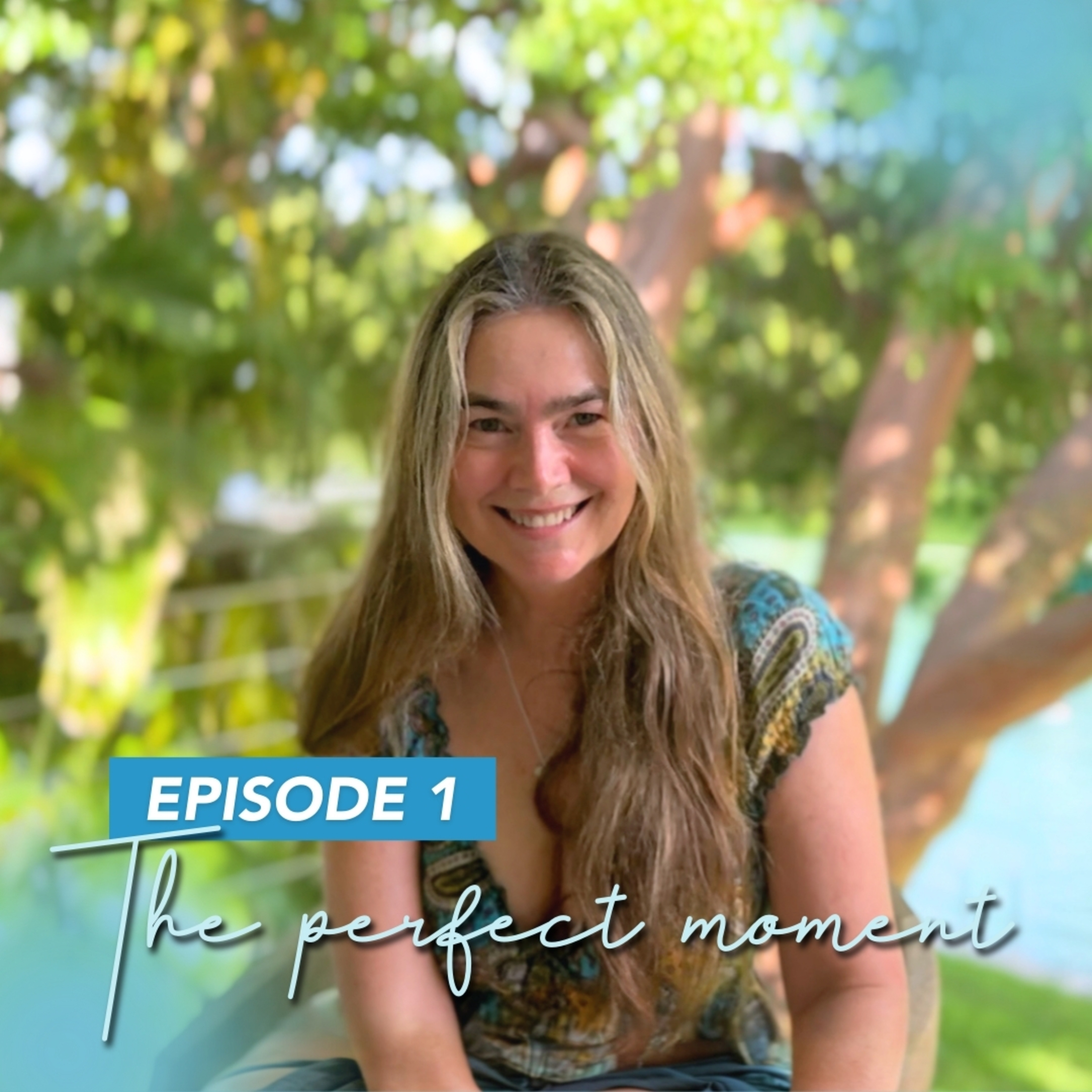 Episode 1: Waiting for the perfect moment - Conversations Under a Tree episode artwork