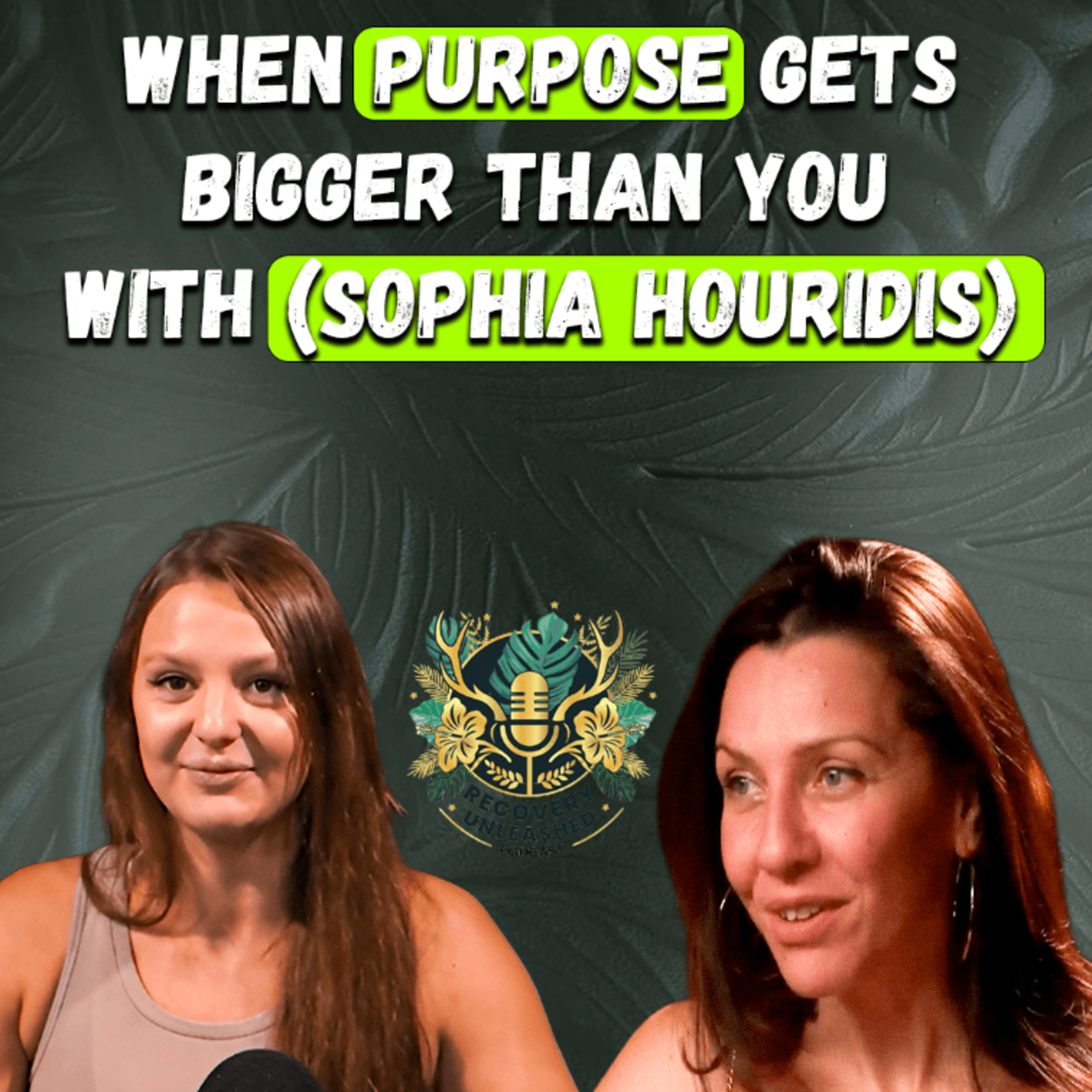 Into The Jungle Podcast