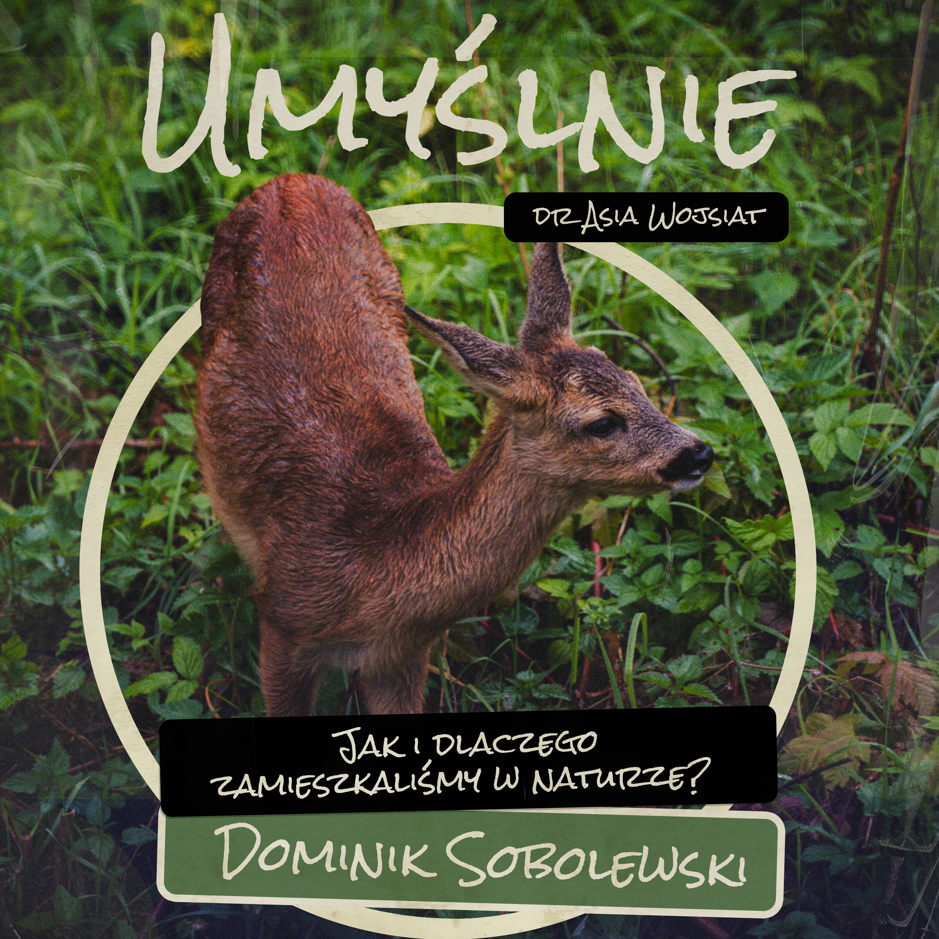 Umyślnie - dr Asia Wojsiat