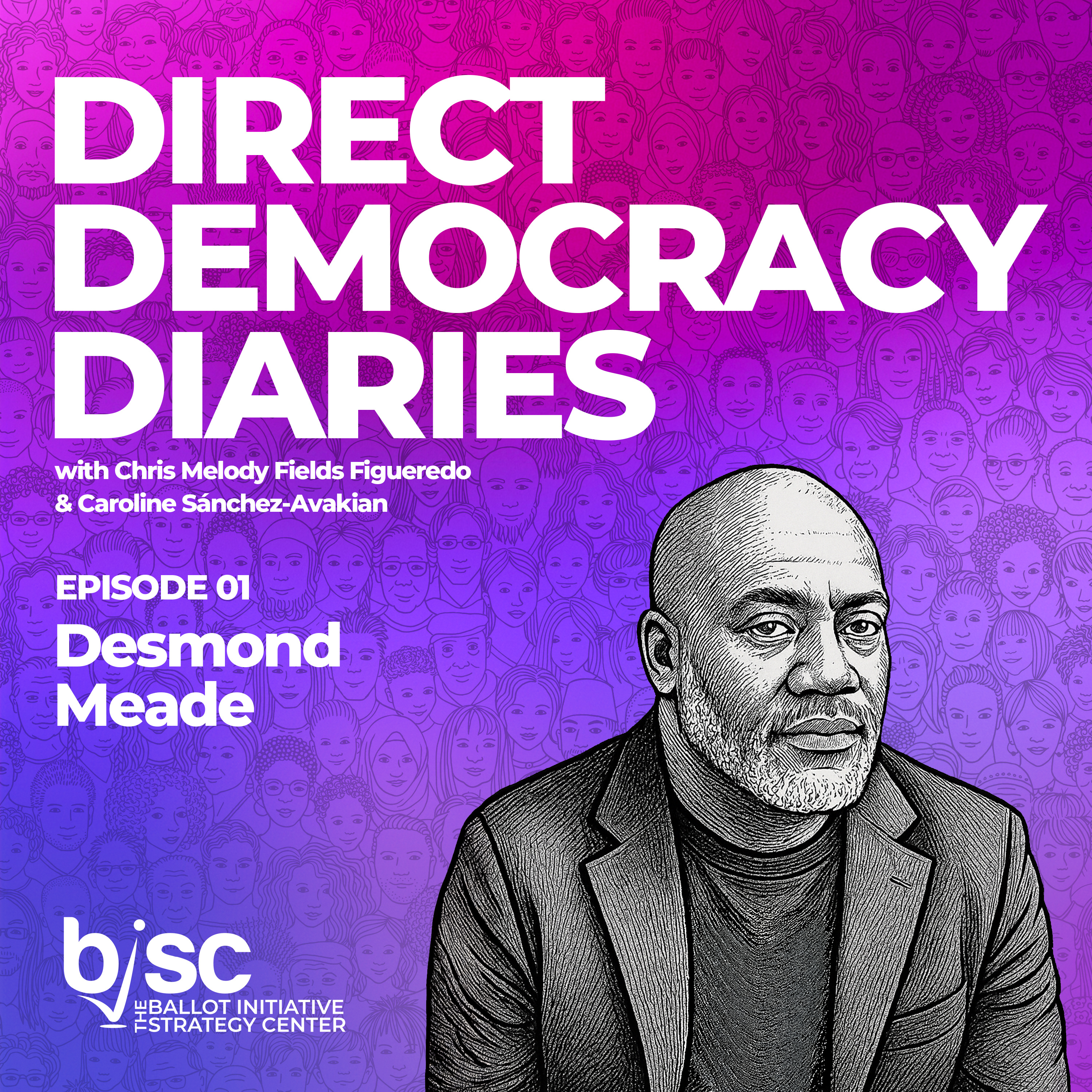 Direct Democracy Diaries