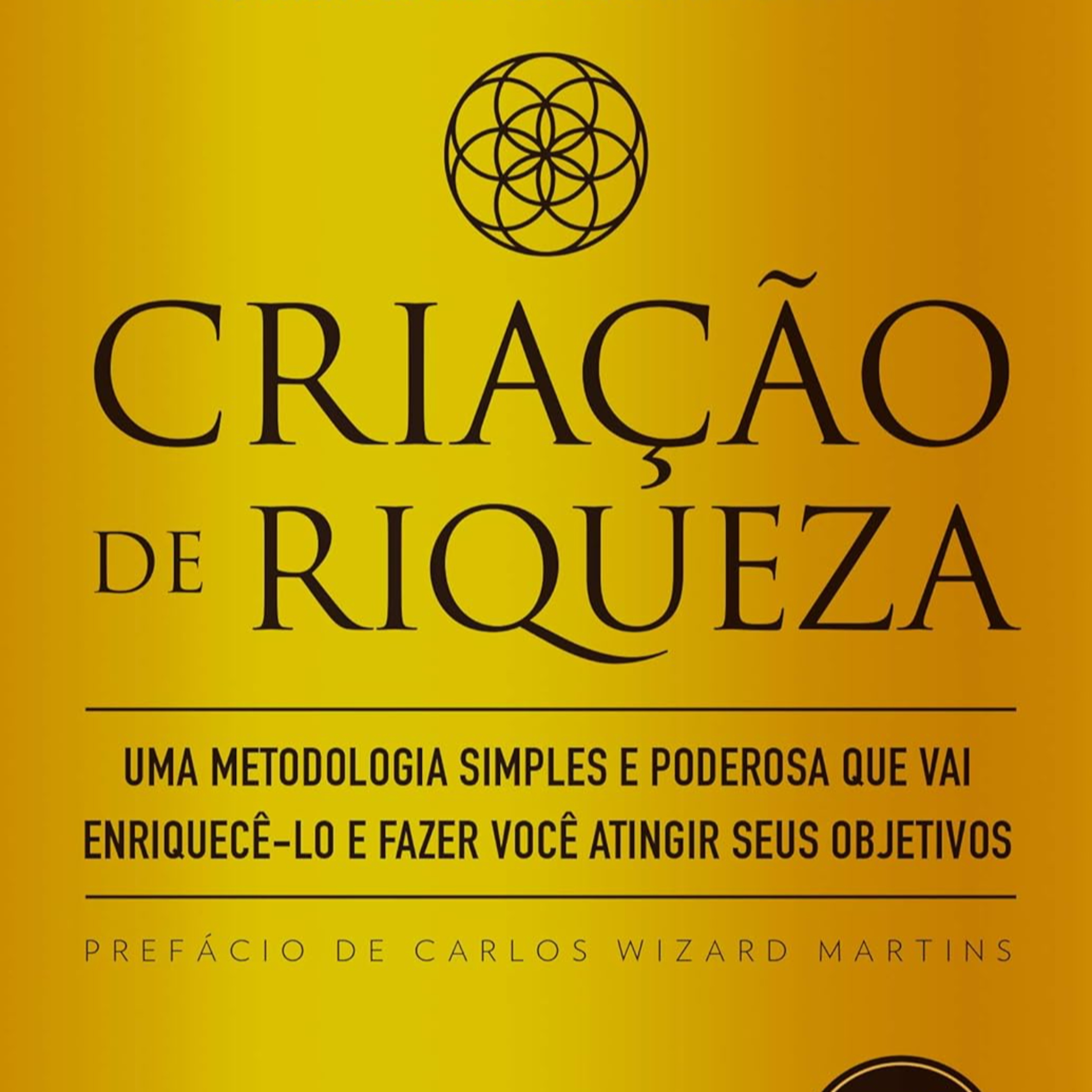 Criação de Riqueza de Paulo Vieira episode artwork