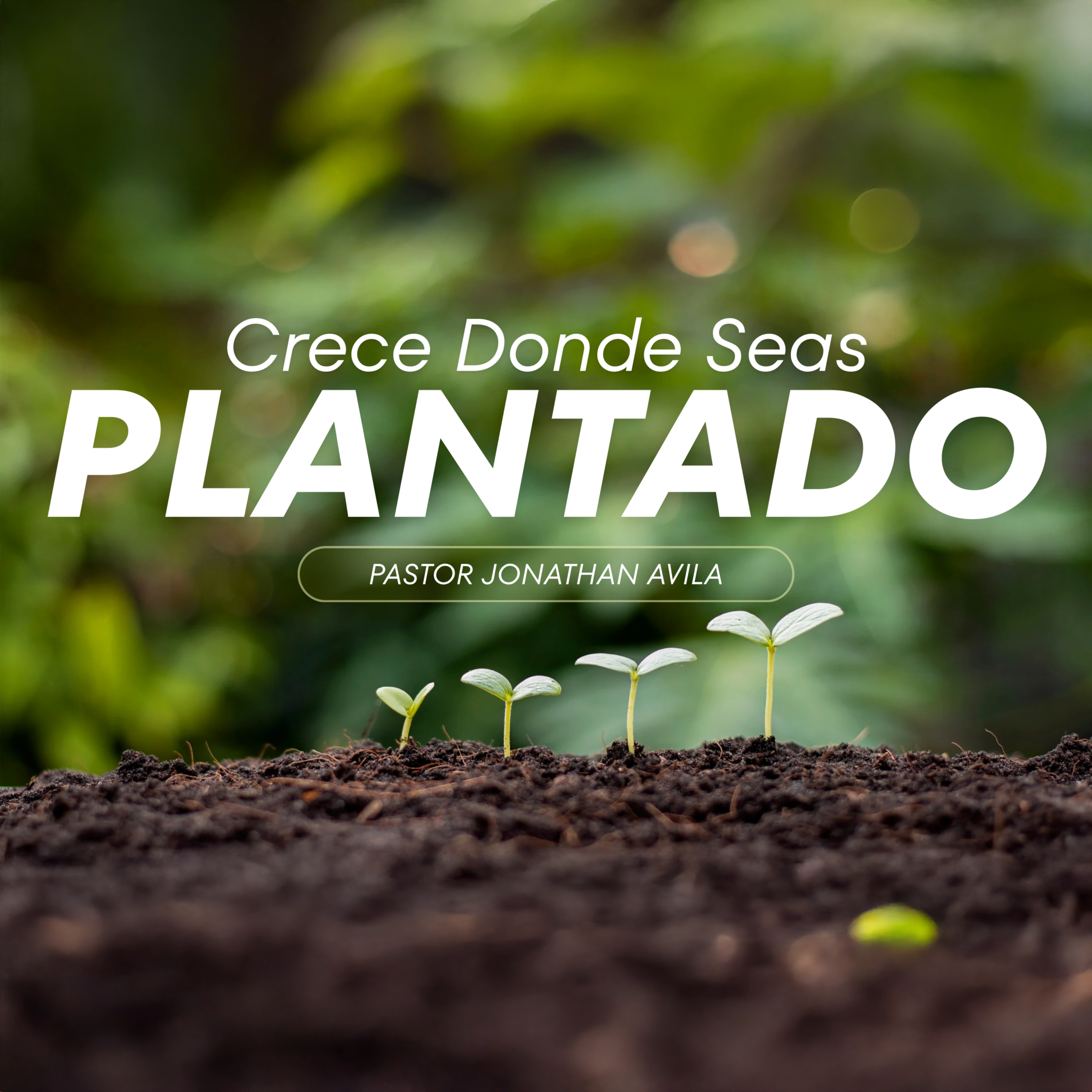 Crece Donde Seas Plantado - Pastor Jonathan Avila - Domingo PM, 7/12/26 episode artwork