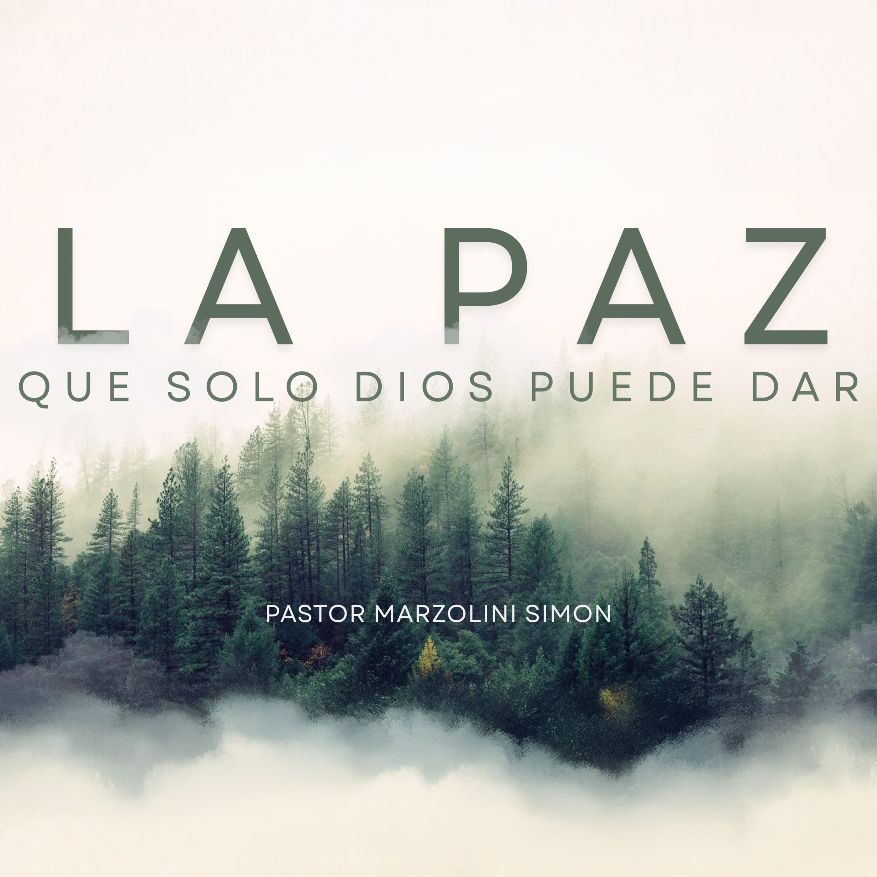 La Paz Que Solo Dios Puede Dar - Pastor Marzolini Simon - Miércoles, 8/12/26 episode artwork