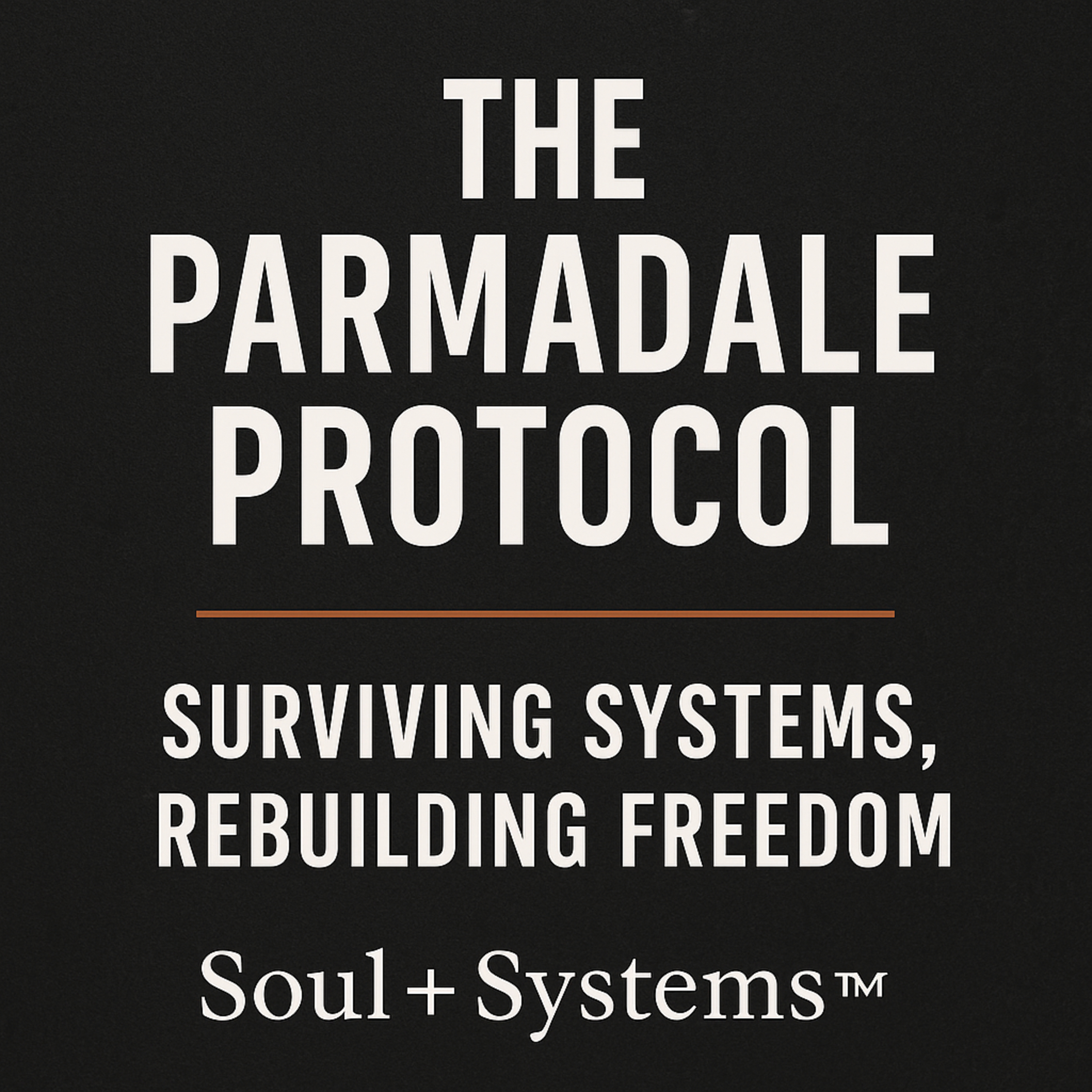 Soul + Systems with Jenn + Sol