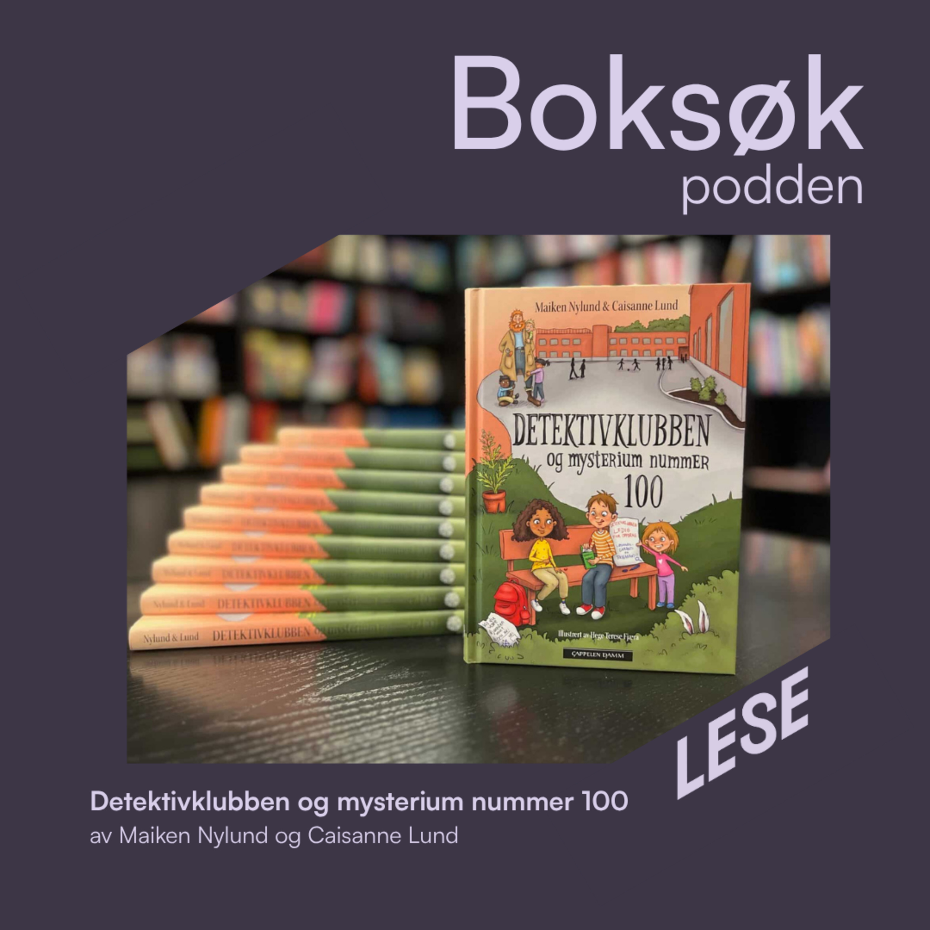 Boksøkpodden