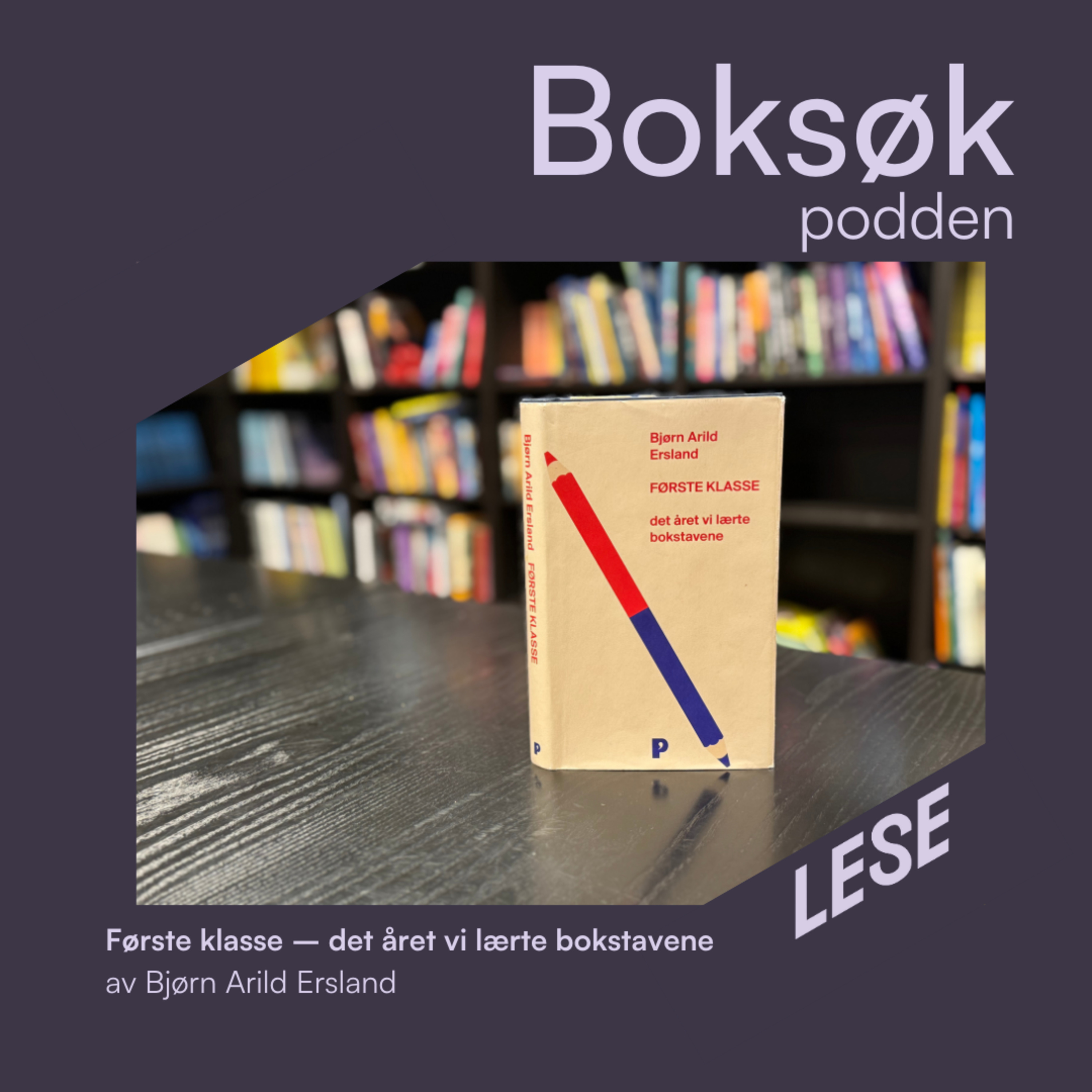 «Første klasse – det året vi lærte bokstavene» av Bjørn Arild Ersland. 