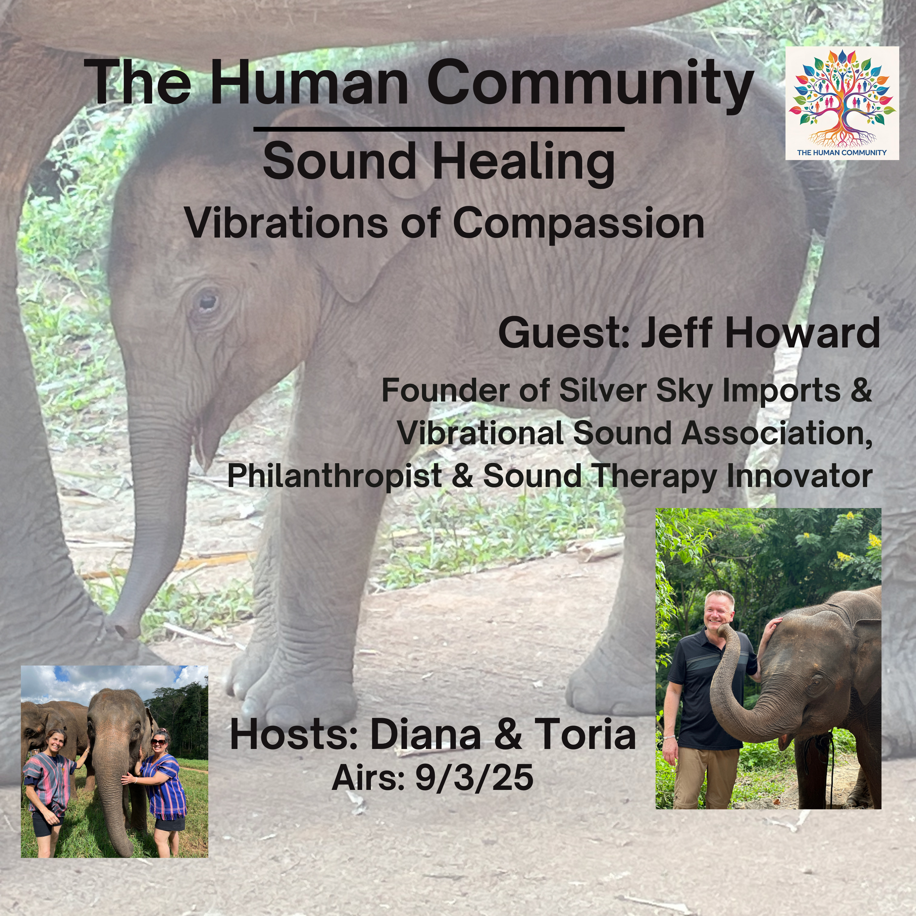 Sound Healing Vibrations of Compassion