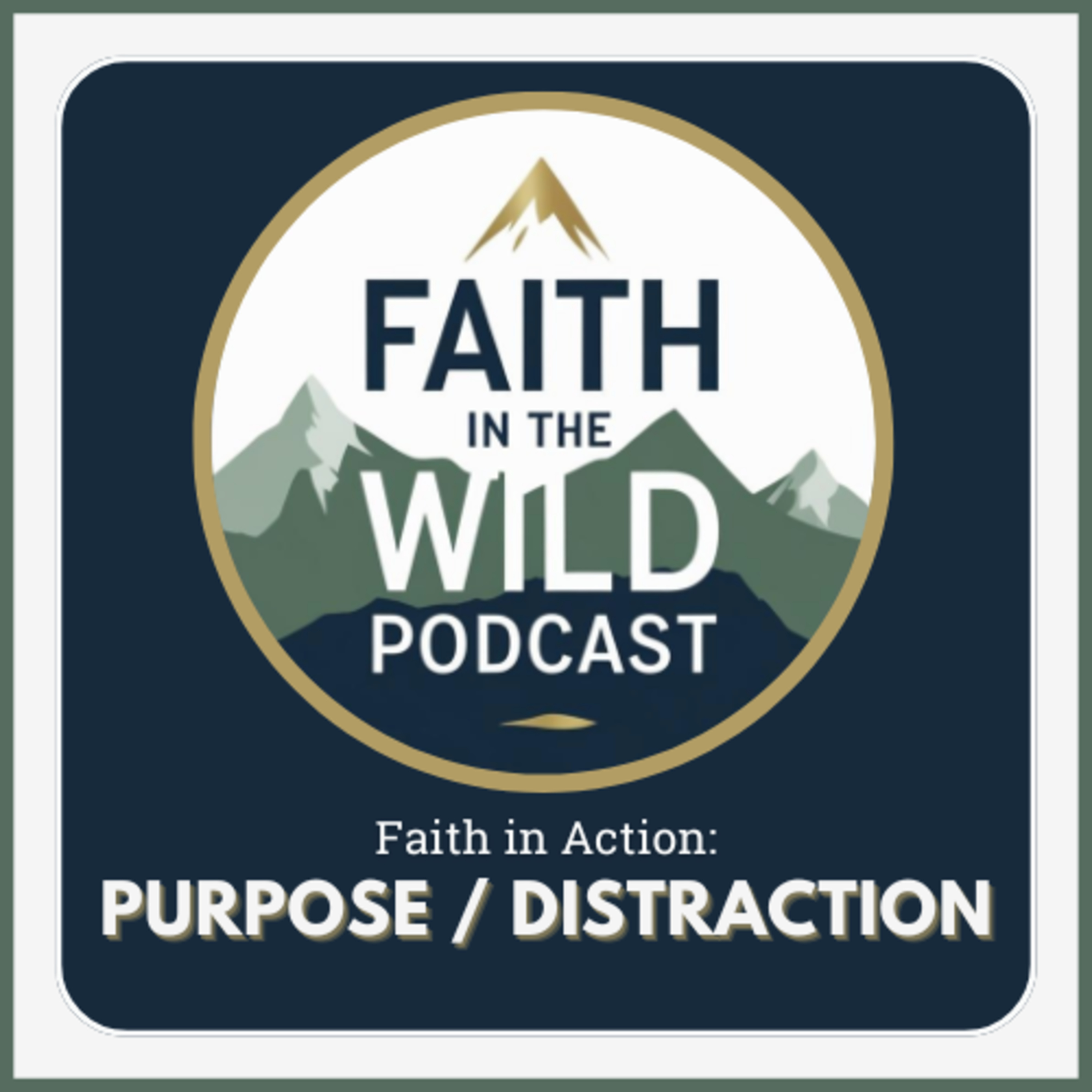Purpose / Distraction