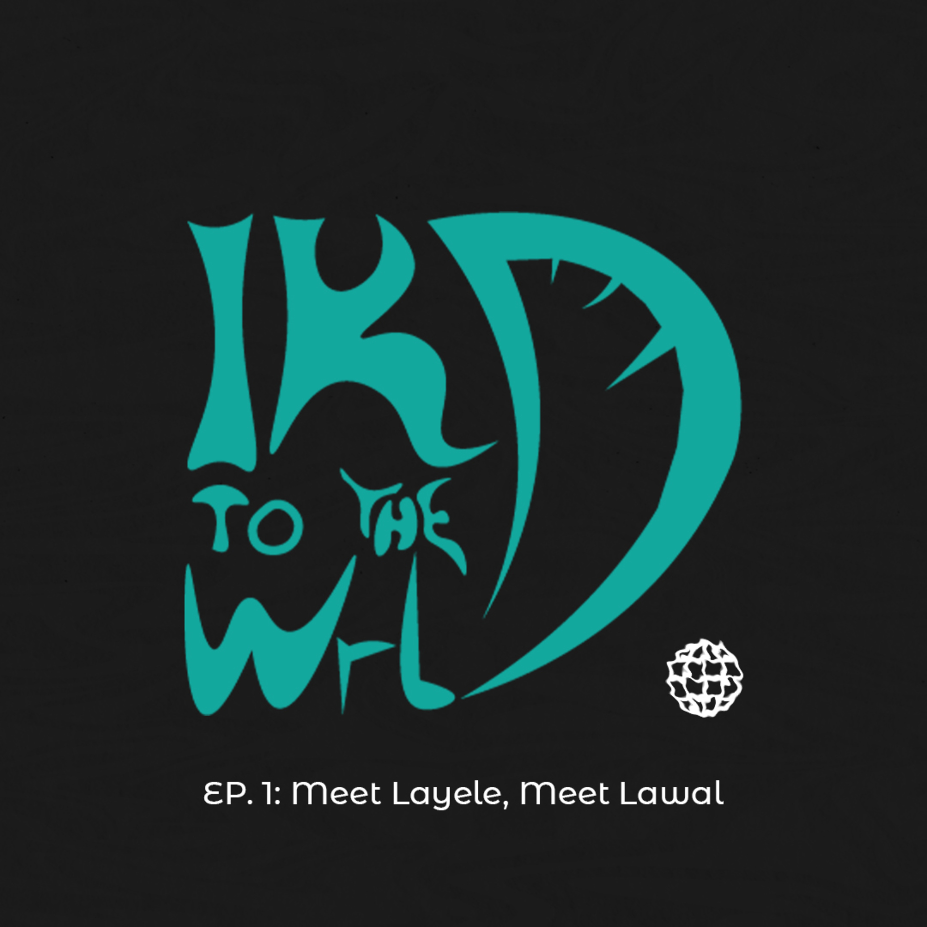 Meet Layele, Meet Lawal episode artwork