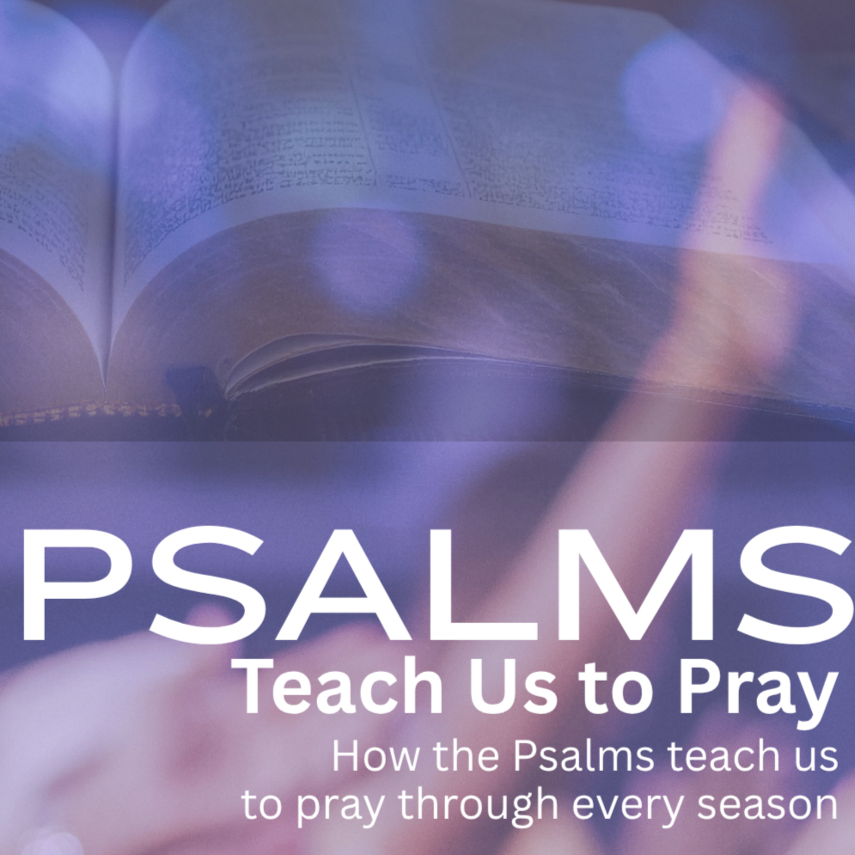 2 Teach Us to Delight (Psalm 1:1-6) episode artwork