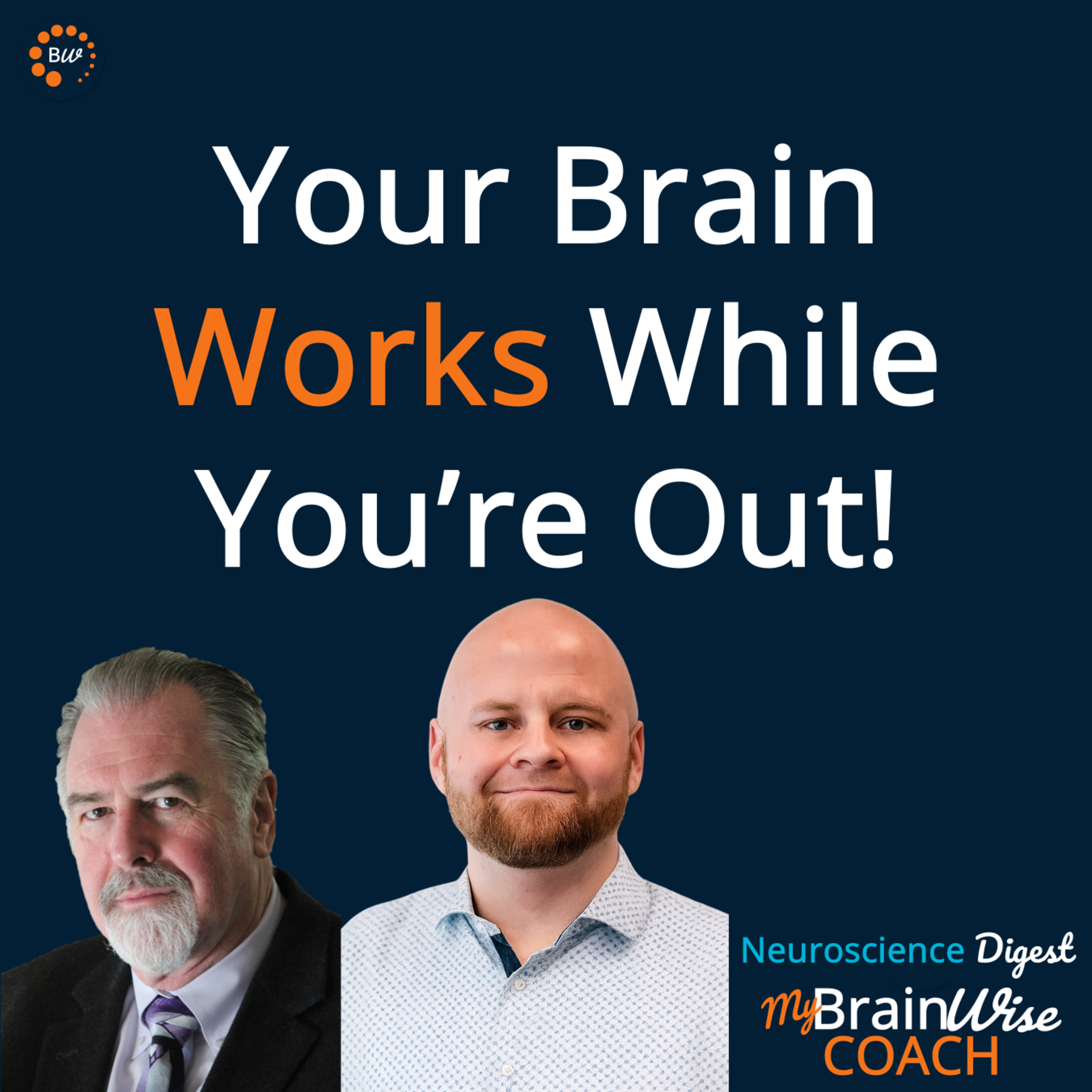 How Your Brain Processes Language Under Anesthesia (ND3E1) episode artwork