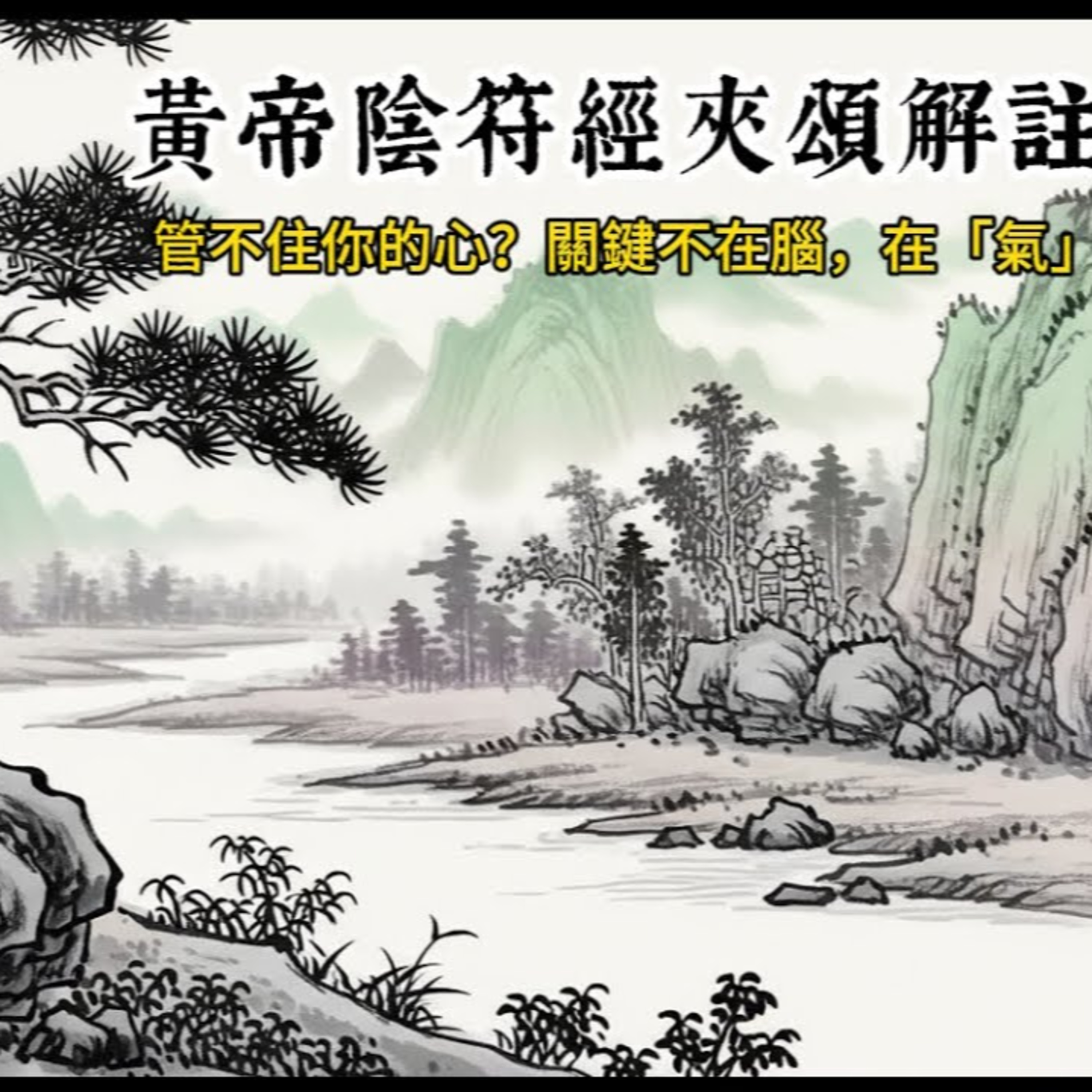 【洞見無界】《黃帝陰符經》另一種解讀！【內丹實修篇】王玠(王道淵)註解版：揭祕「五賊」如何變「五氣朝元」，把握「殺機」的修煉心法！ episode artwork