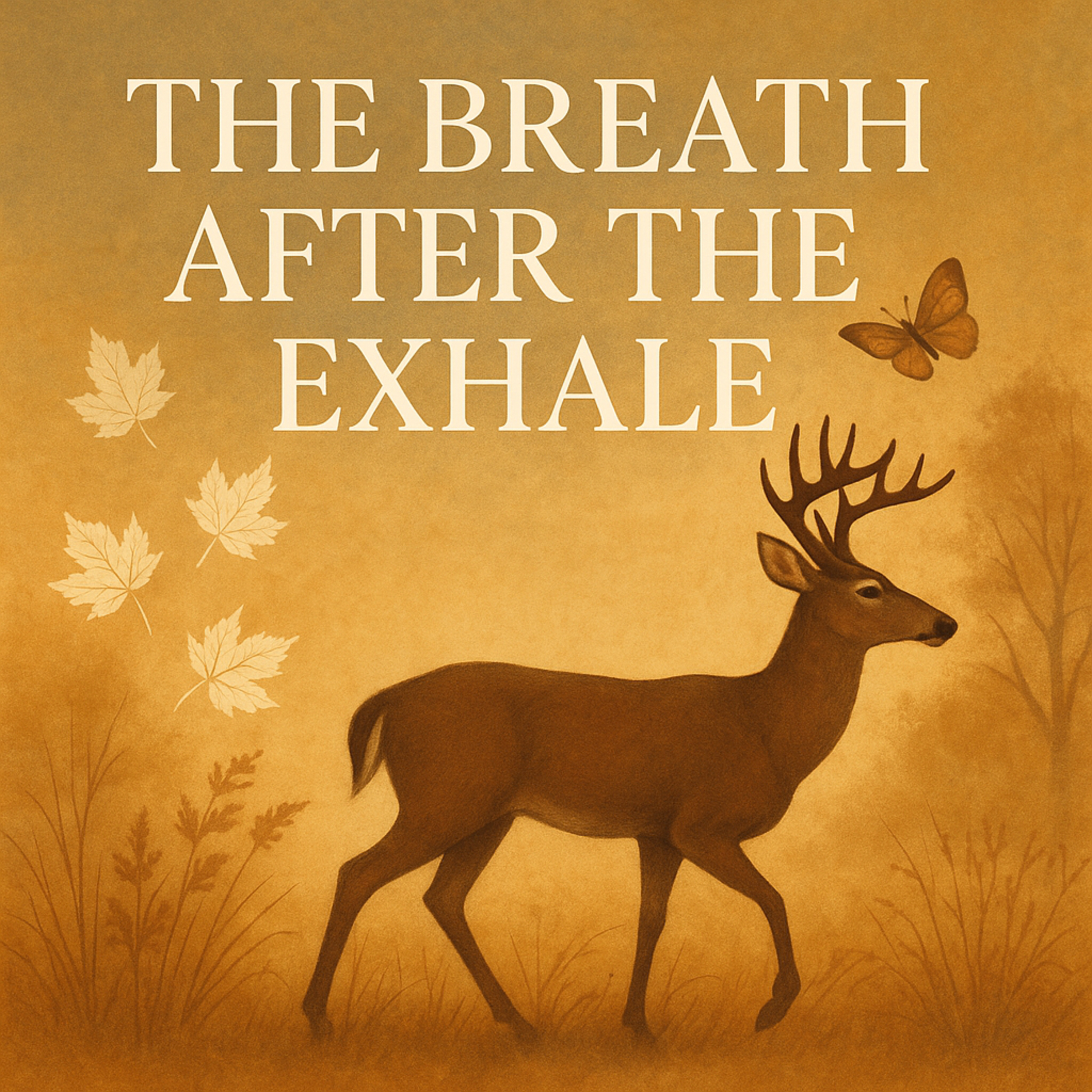 Reality Check My Life