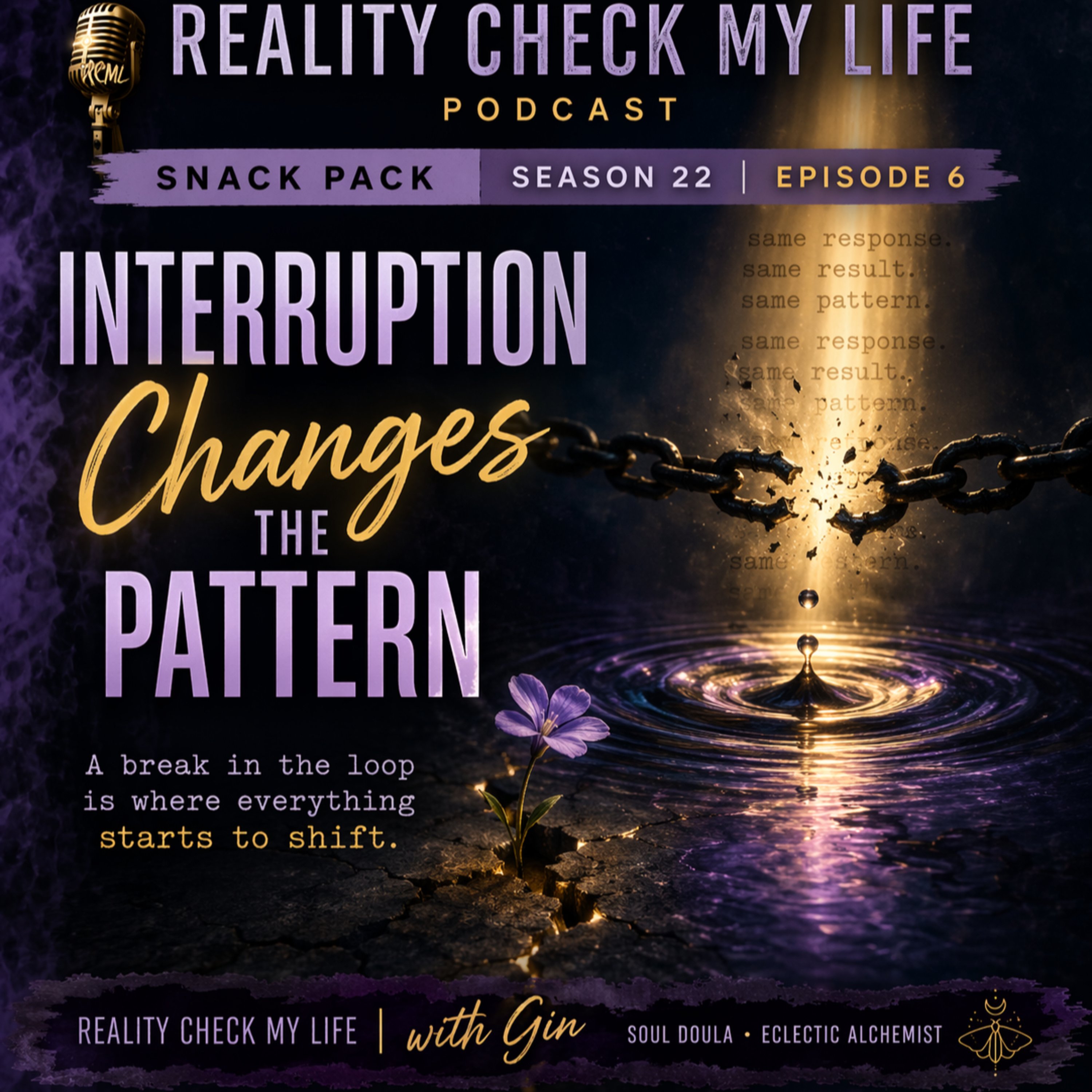 Snack Pack S22E6: Interruption Changes the Pattern