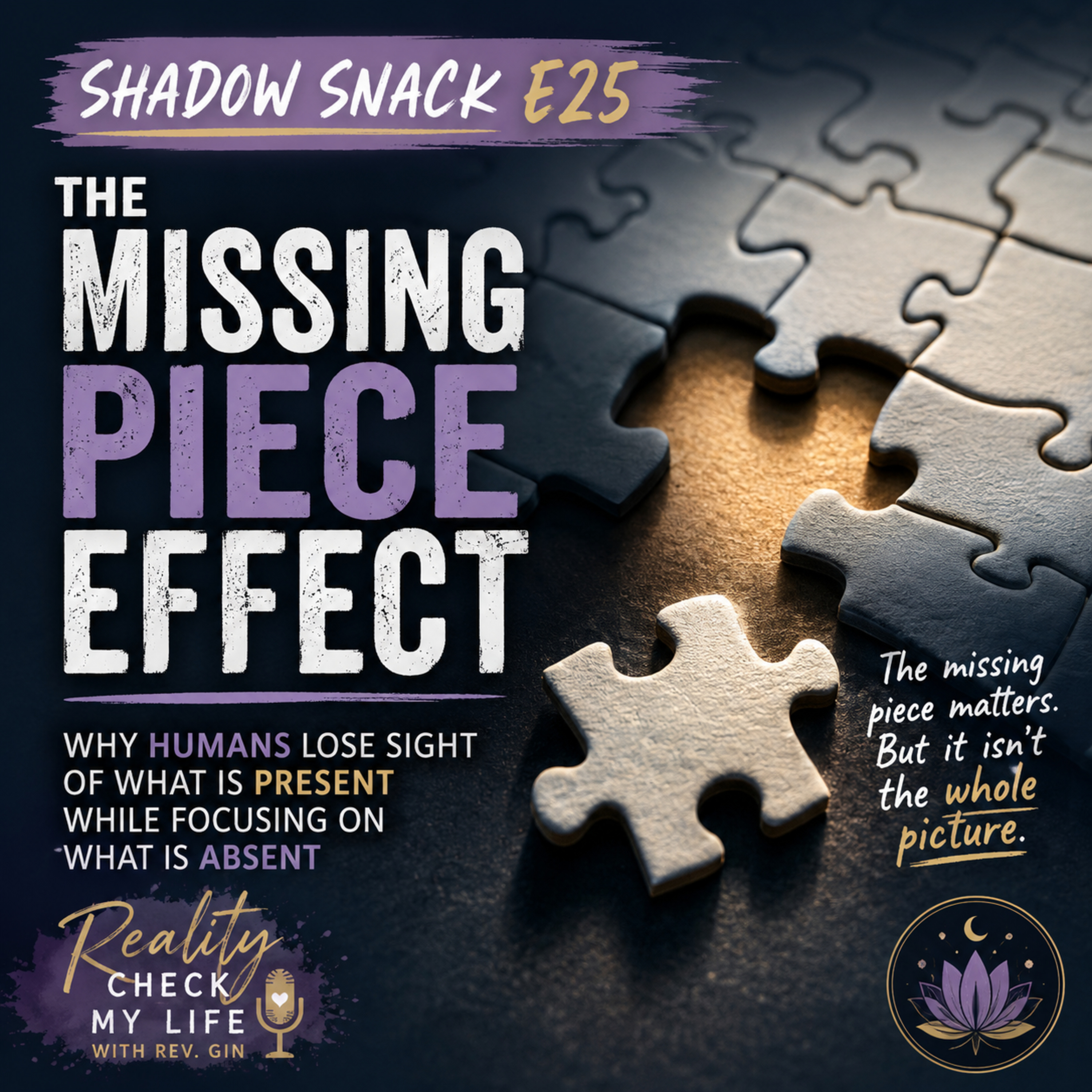 Shadow Snack E25: The Missing Piece Effect – Why Humans Lose Sight of What Is Present While Focusing on What Is Absent episode artwork