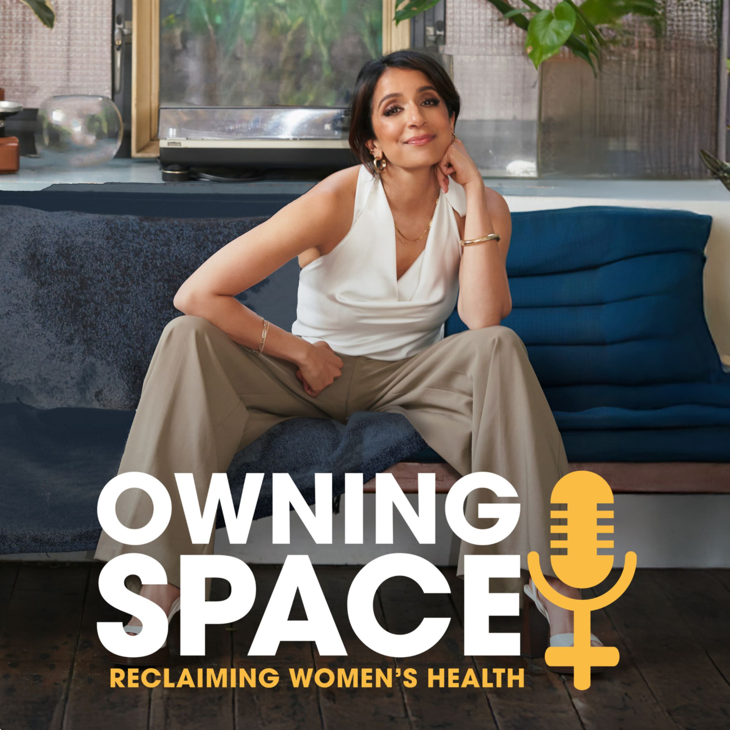 My Journey to Owning Space episode artwork