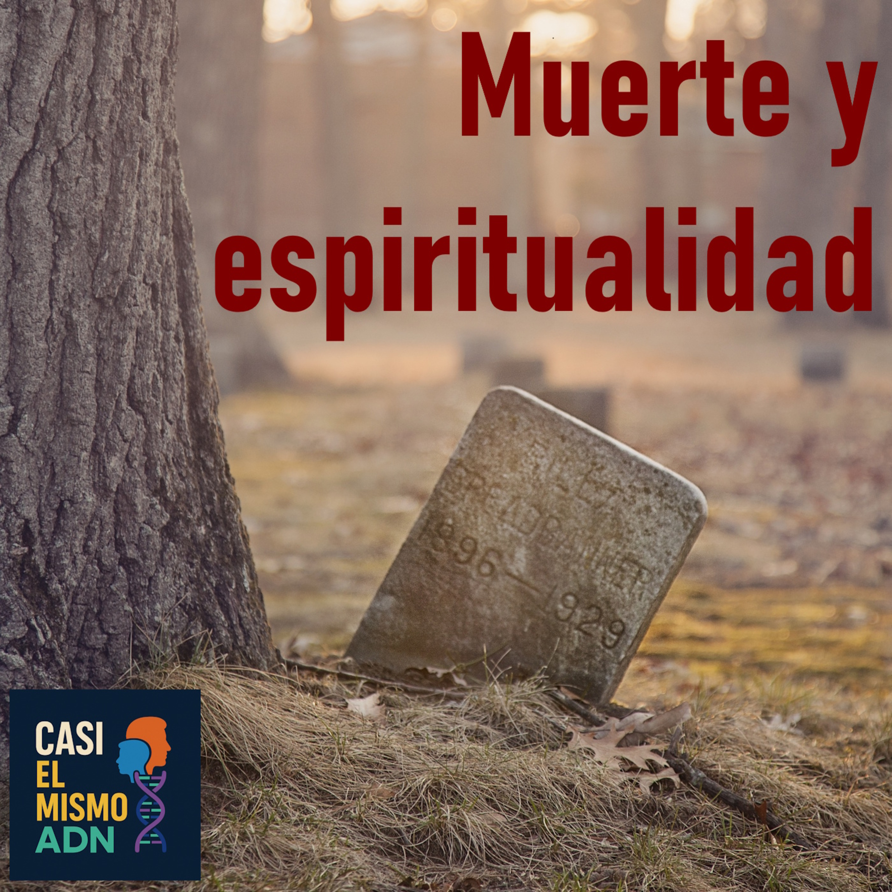 Portada de Casi el mismo ADN
