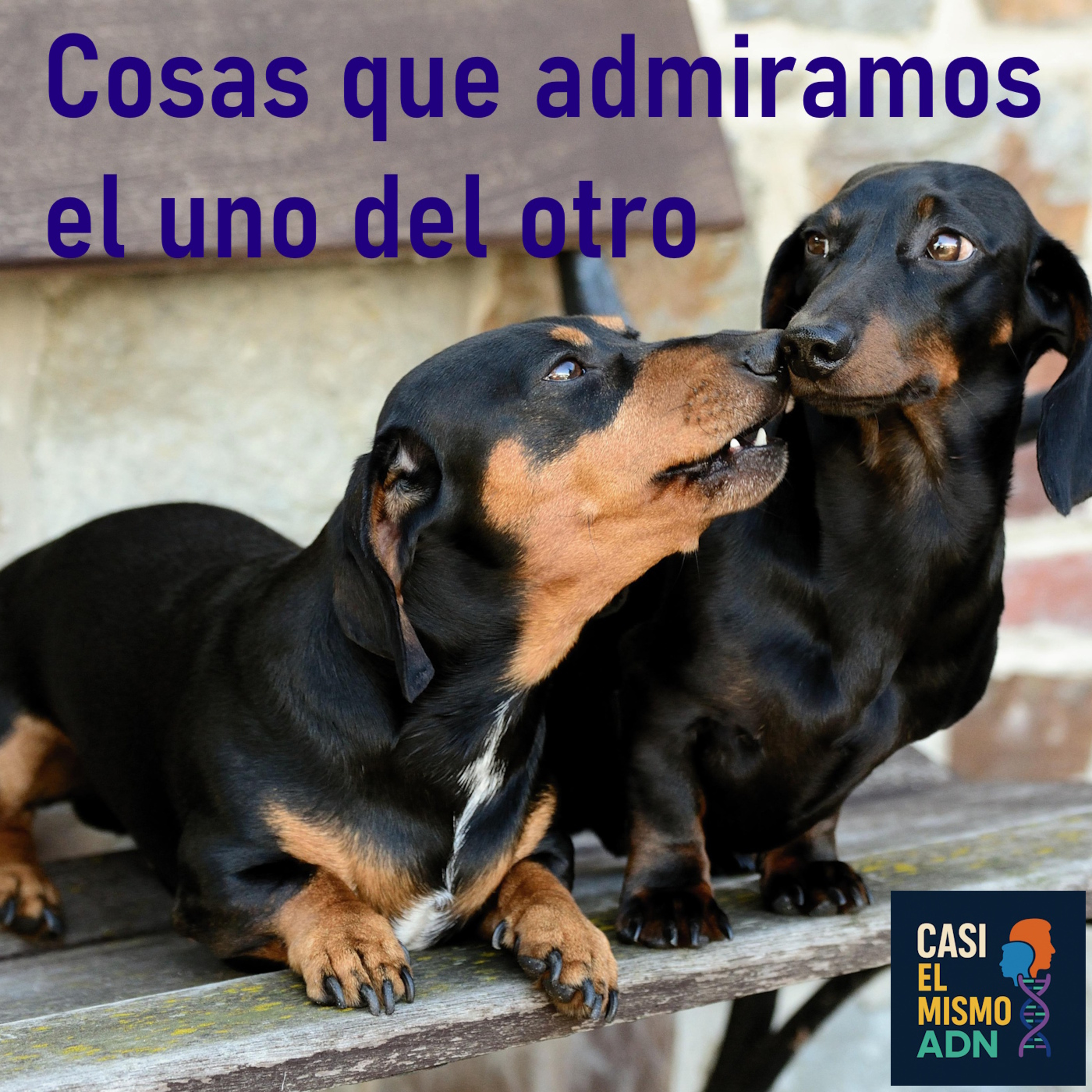 Portada de Casi el mismo ADN