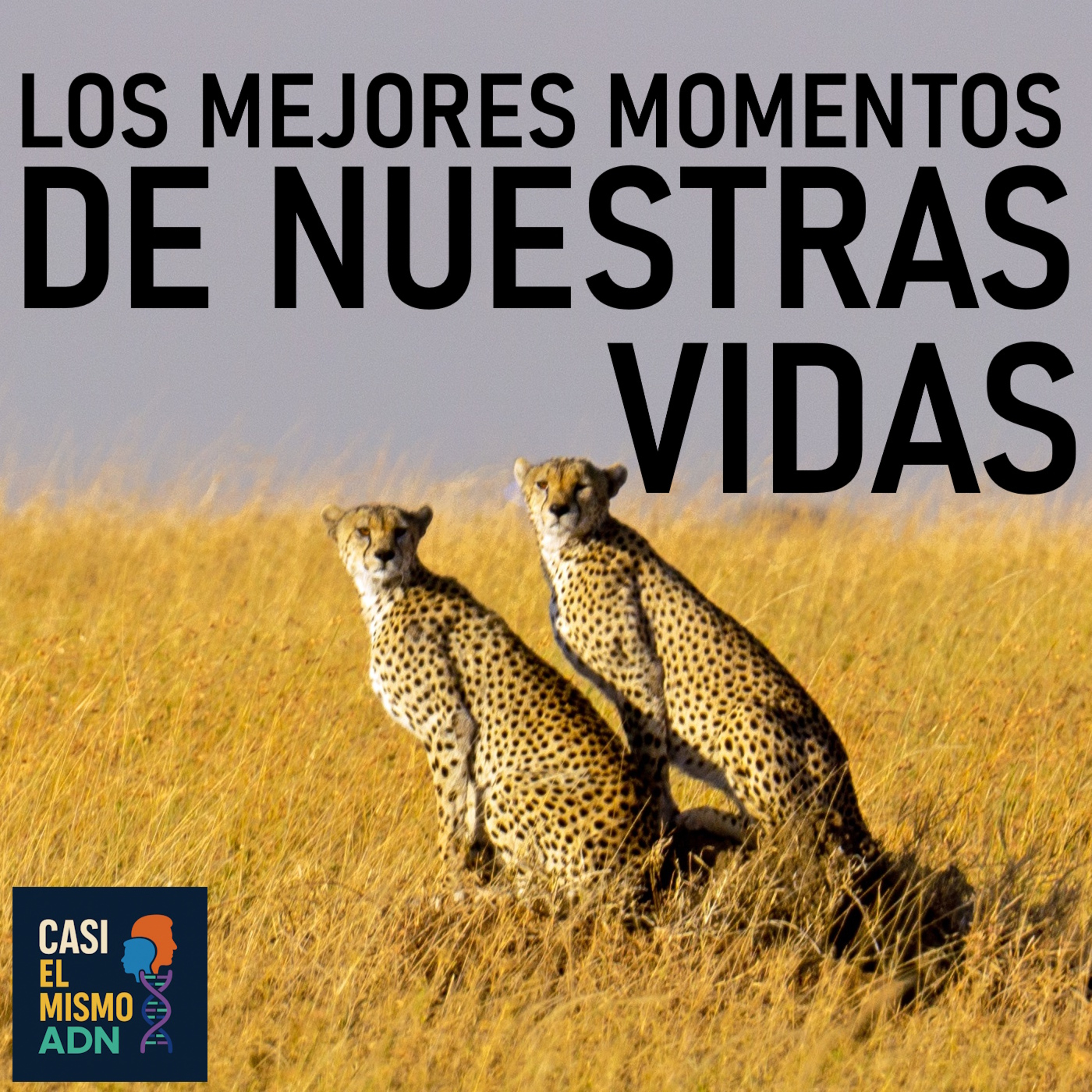 Portada de Casi el mismo ADN