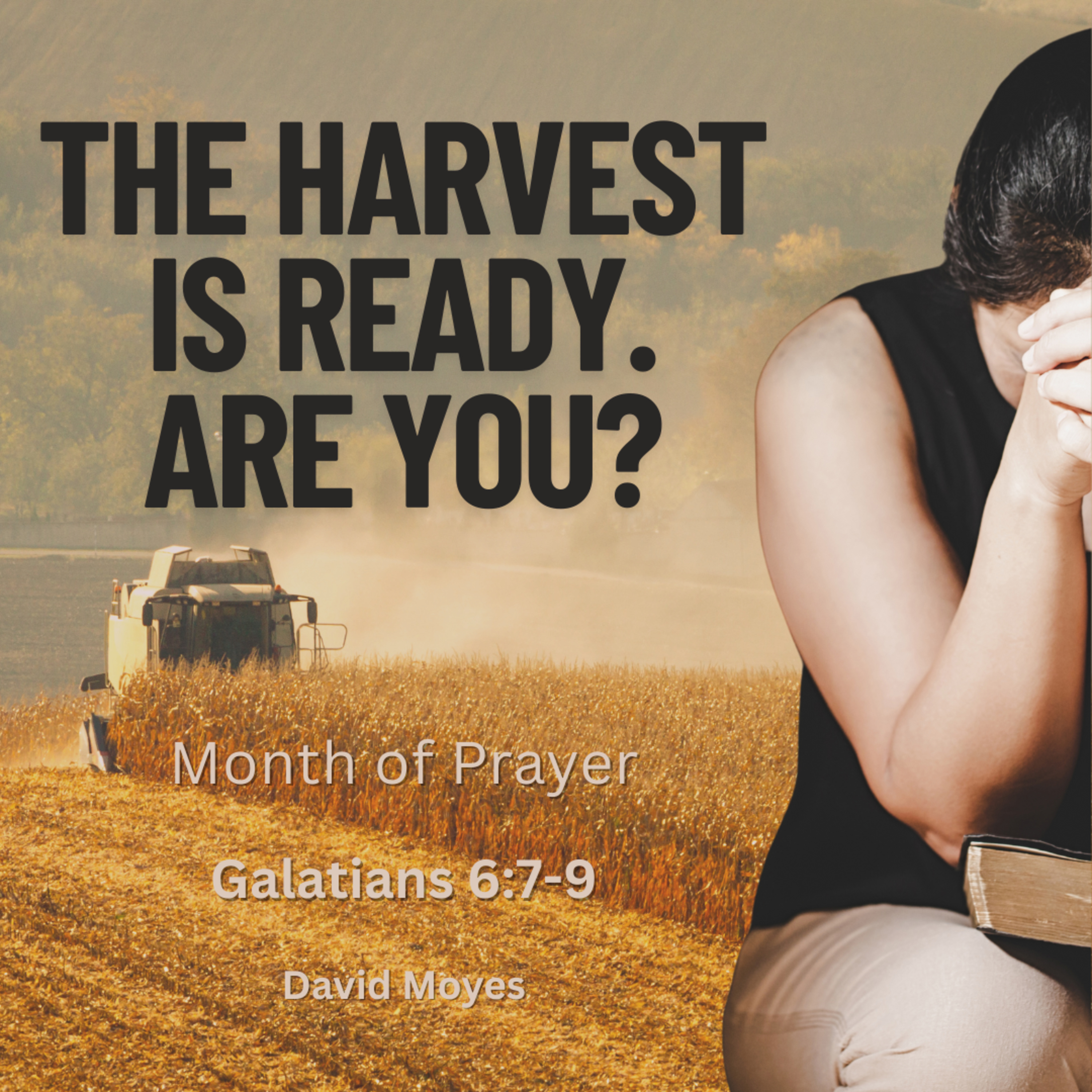 The Harvest Is Ready. Are You? episode artwork