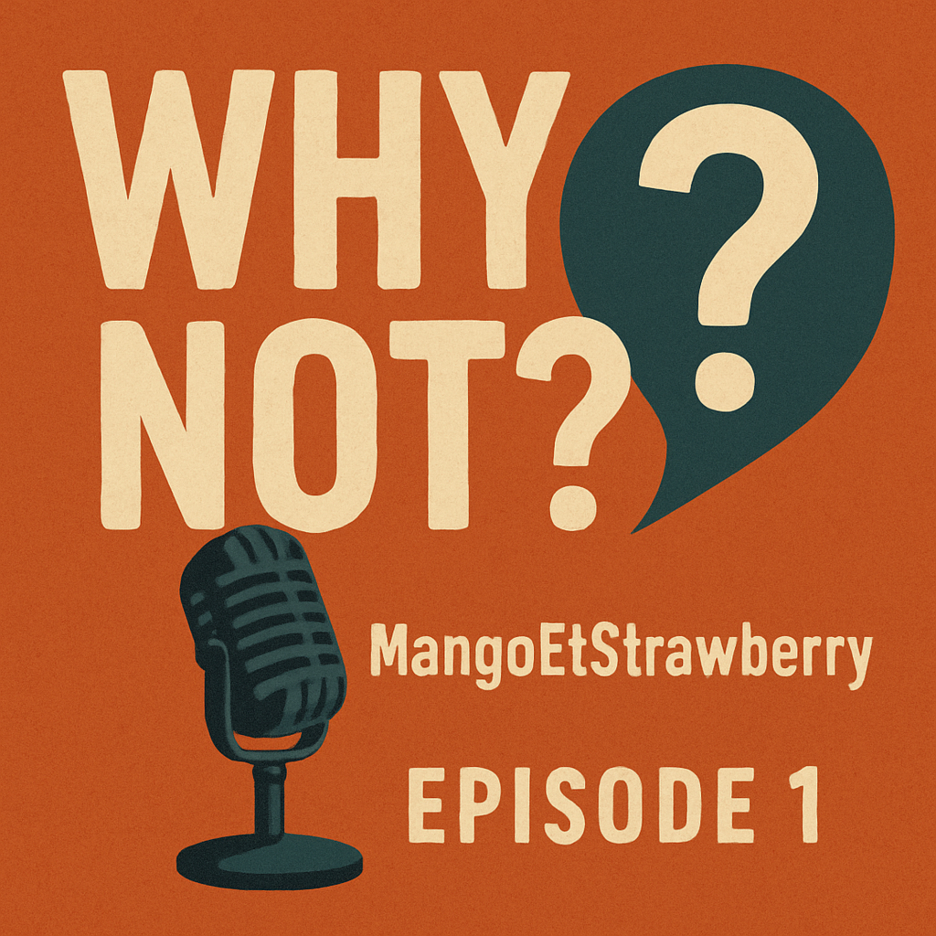Why Not? episode artwork