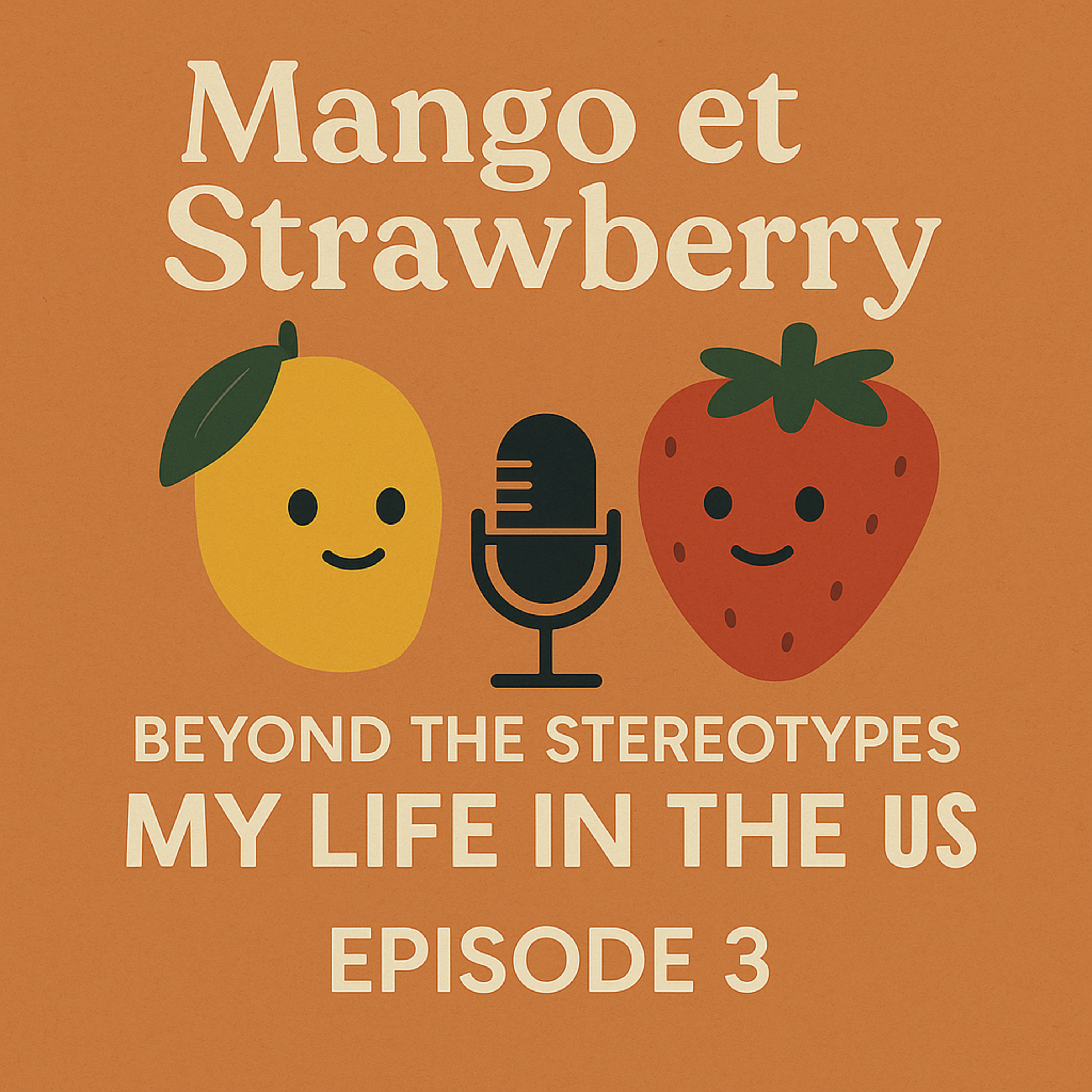 Beyond the Stereotypes: My Life in the US episode artwork