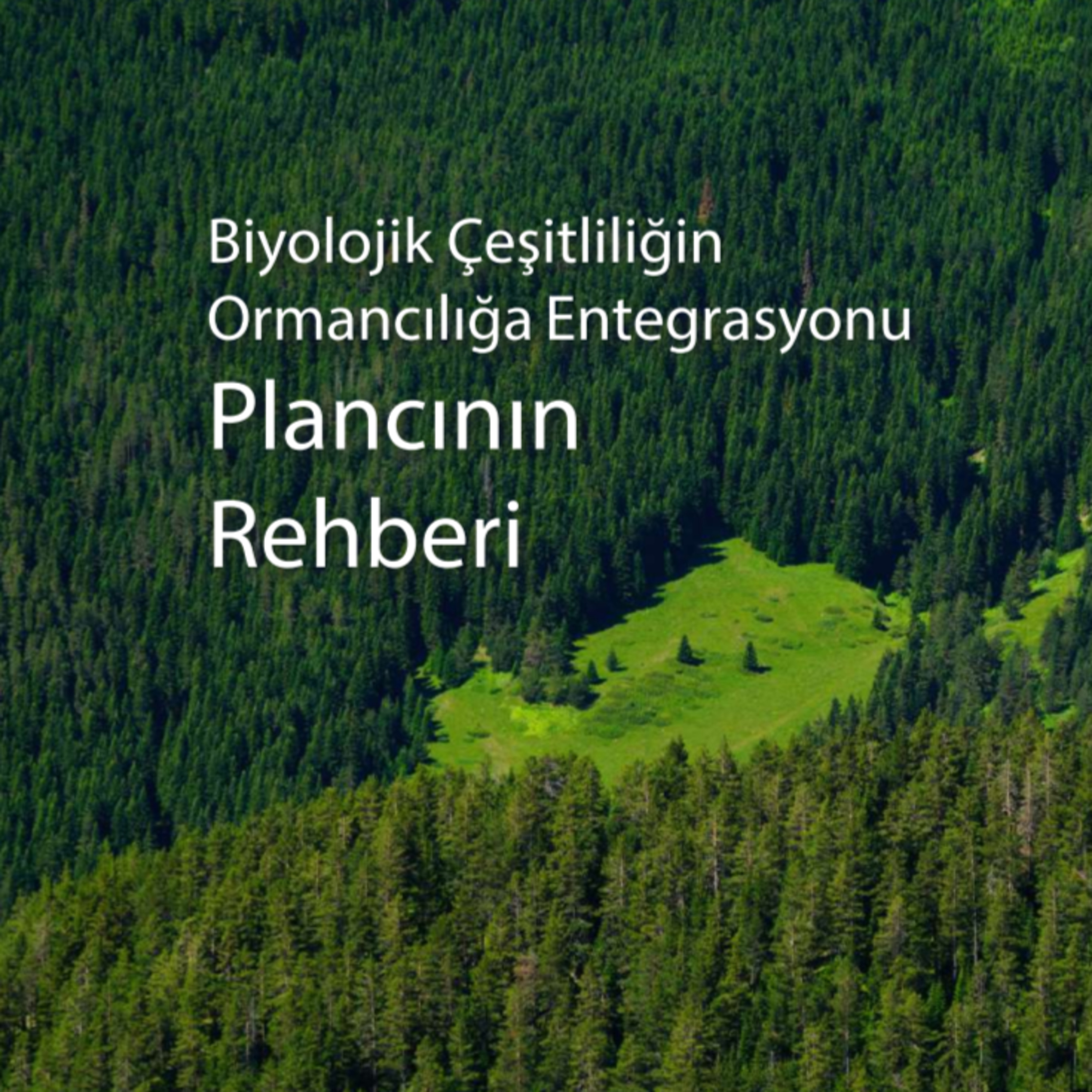 Biyolojik çeşitliliğin ormancılığa entegrayonu : plancının rehberi
