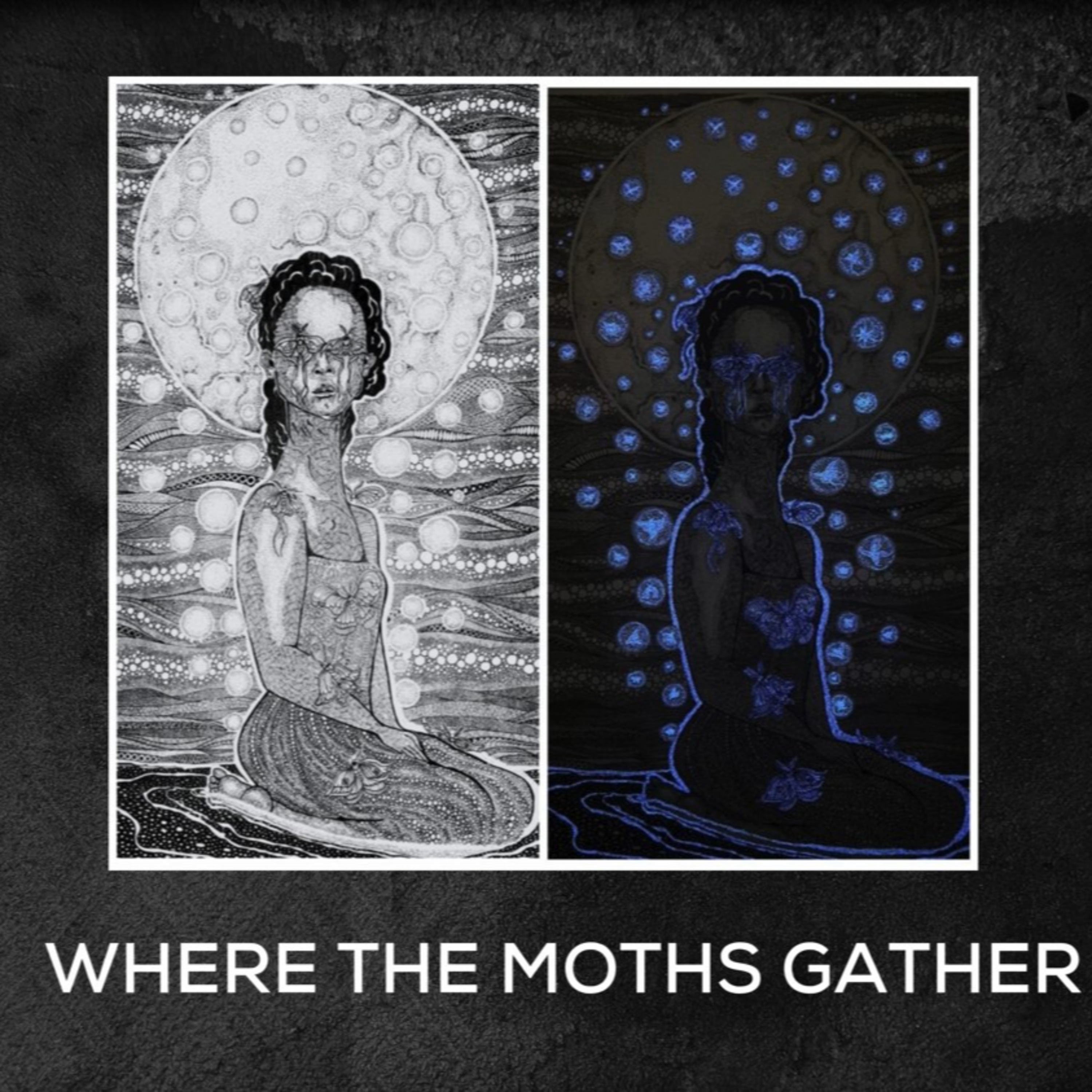 where the moths gather