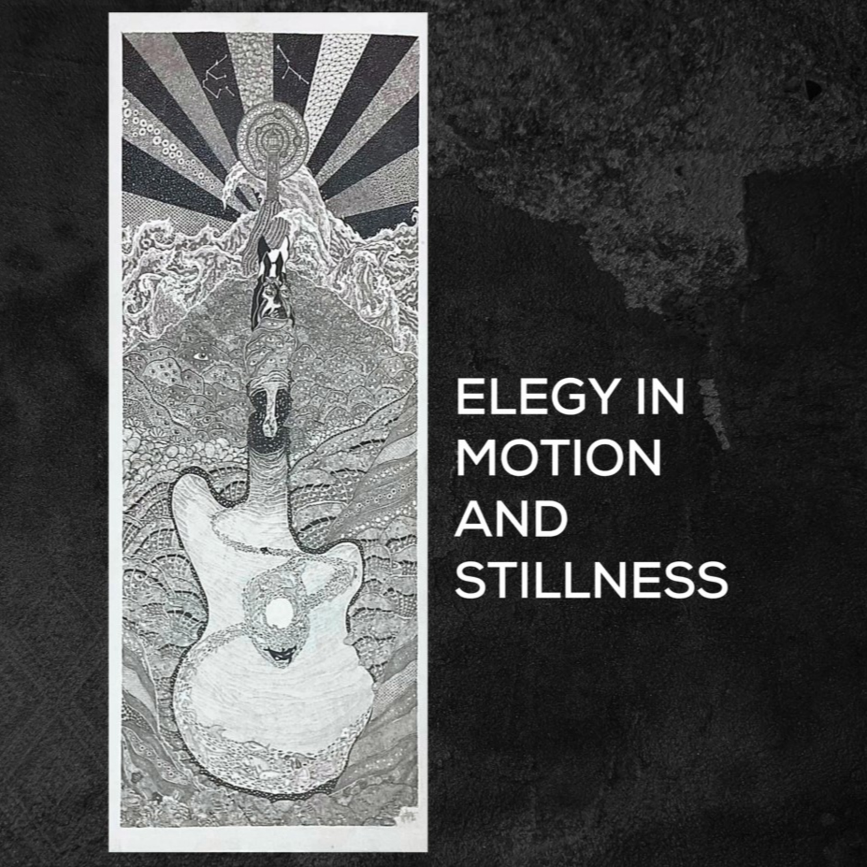 elegy in motion and stillness