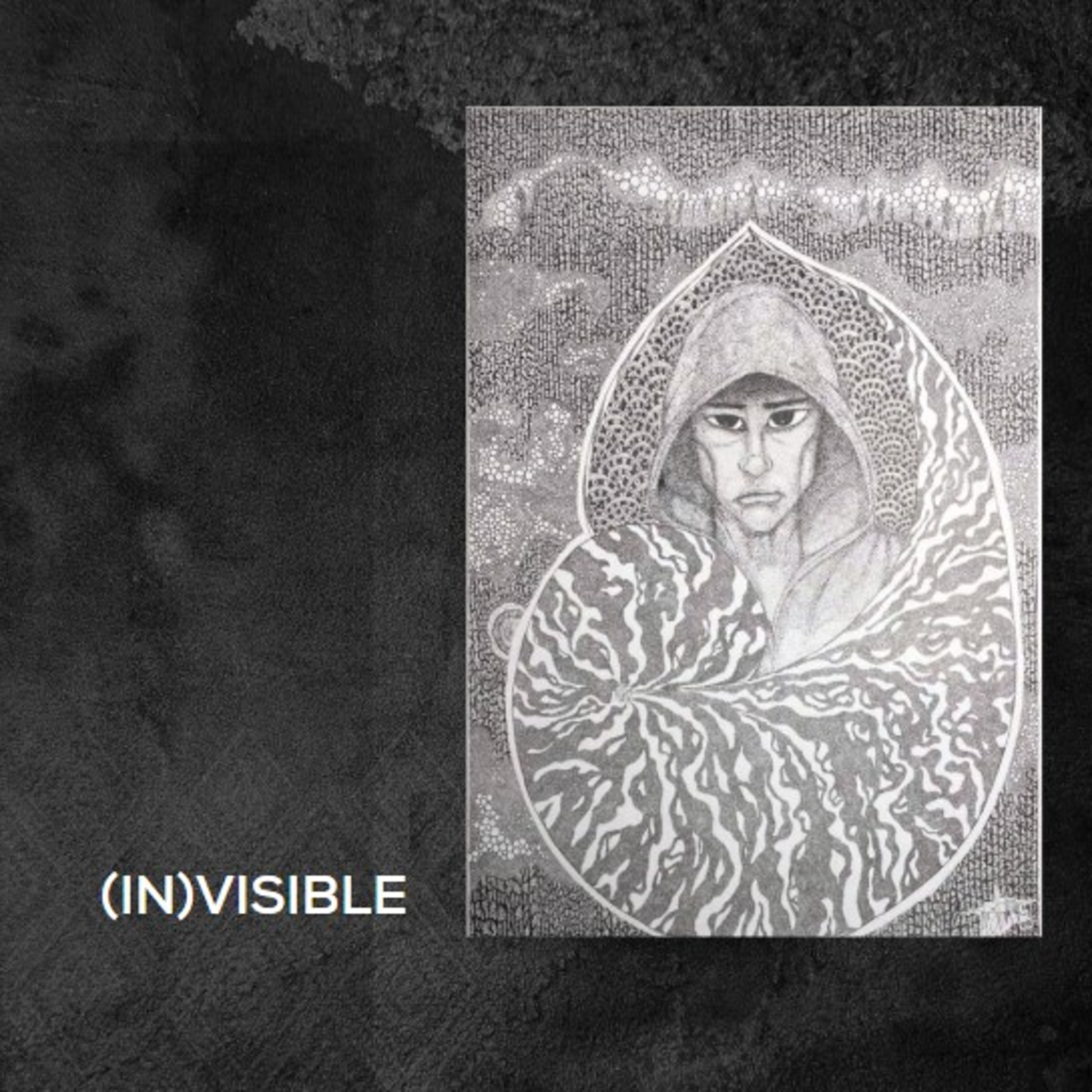 (in)visible