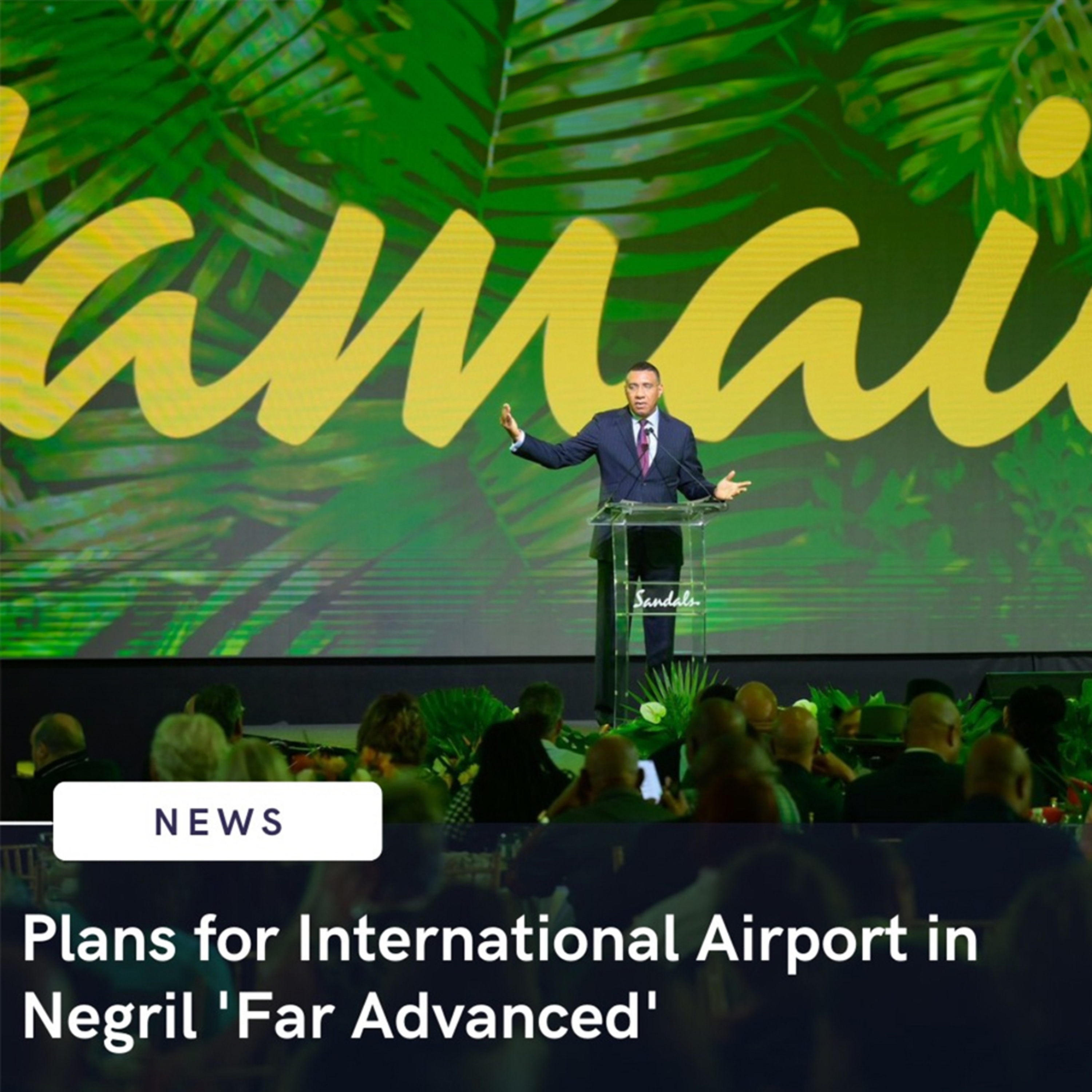 The Negril International Airport episode artwork