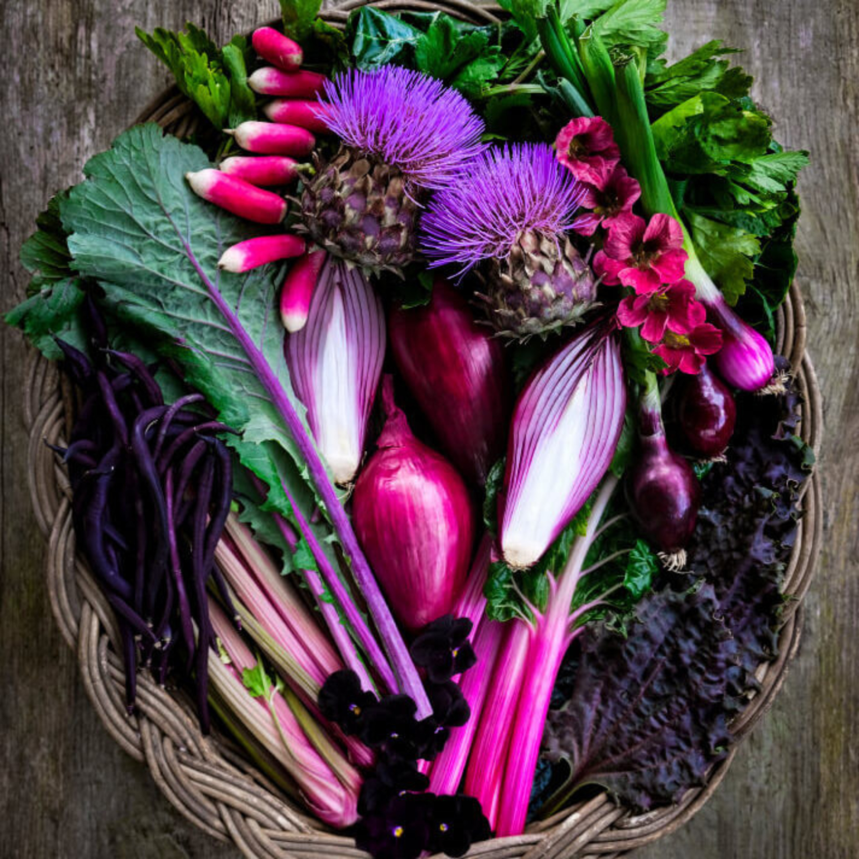 Founder Stories: She Grows Veg episode artwork