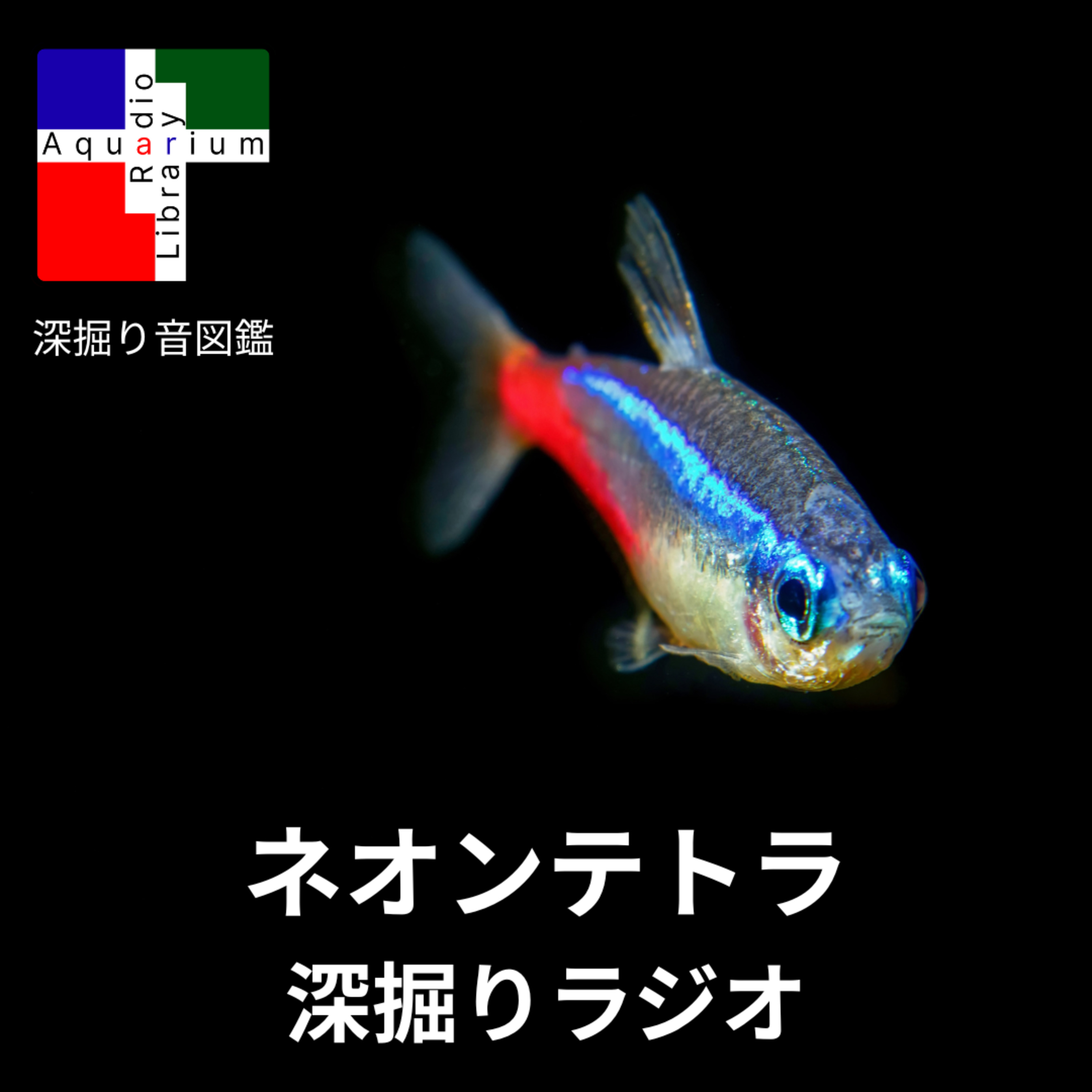 ネオンテトラの深い物語：泳ぐ宝石から地球の課題まで episode artwork