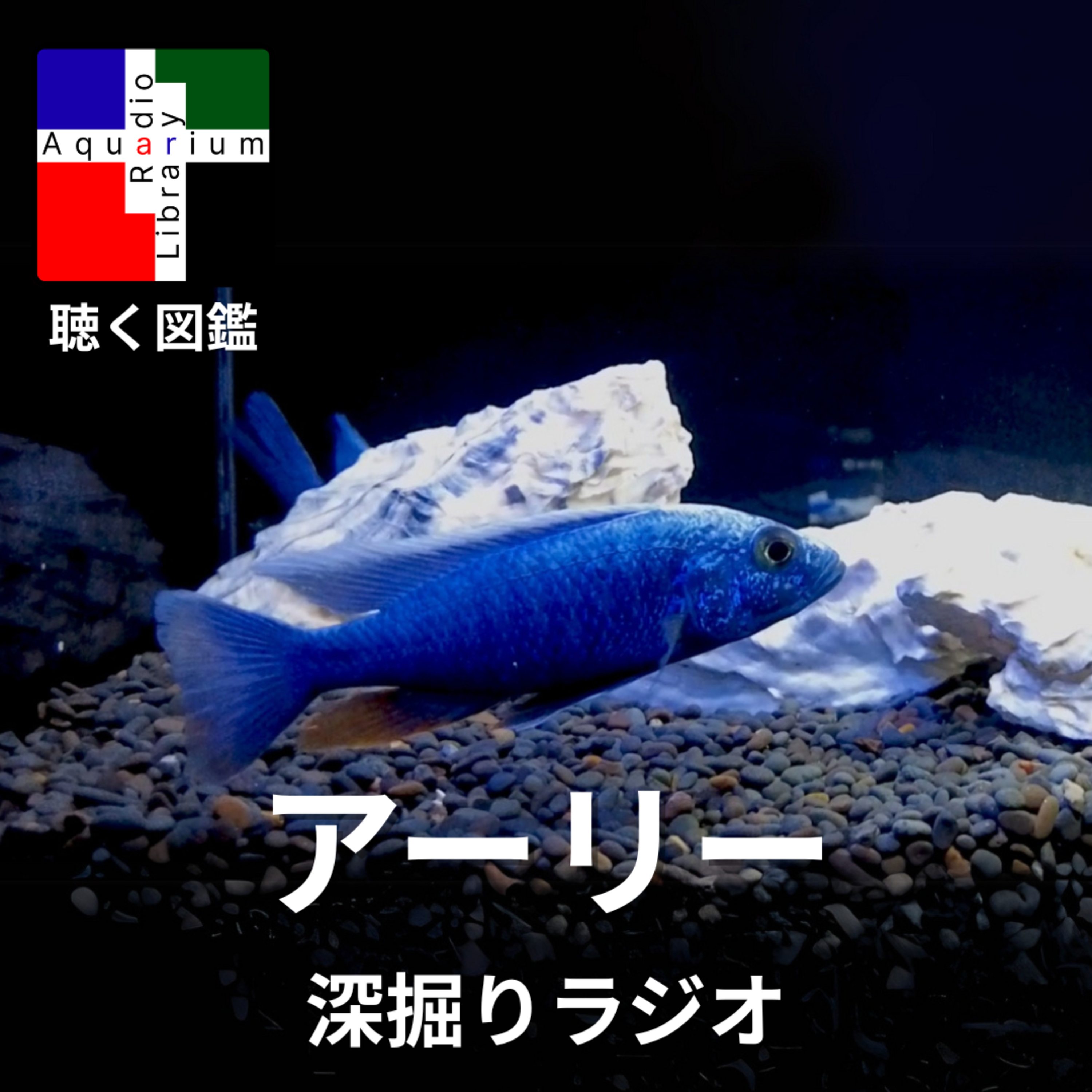 深掘りラジオ：エレクトリックブルーハップ（アーリー）の生態と進化の真実 episode artwork