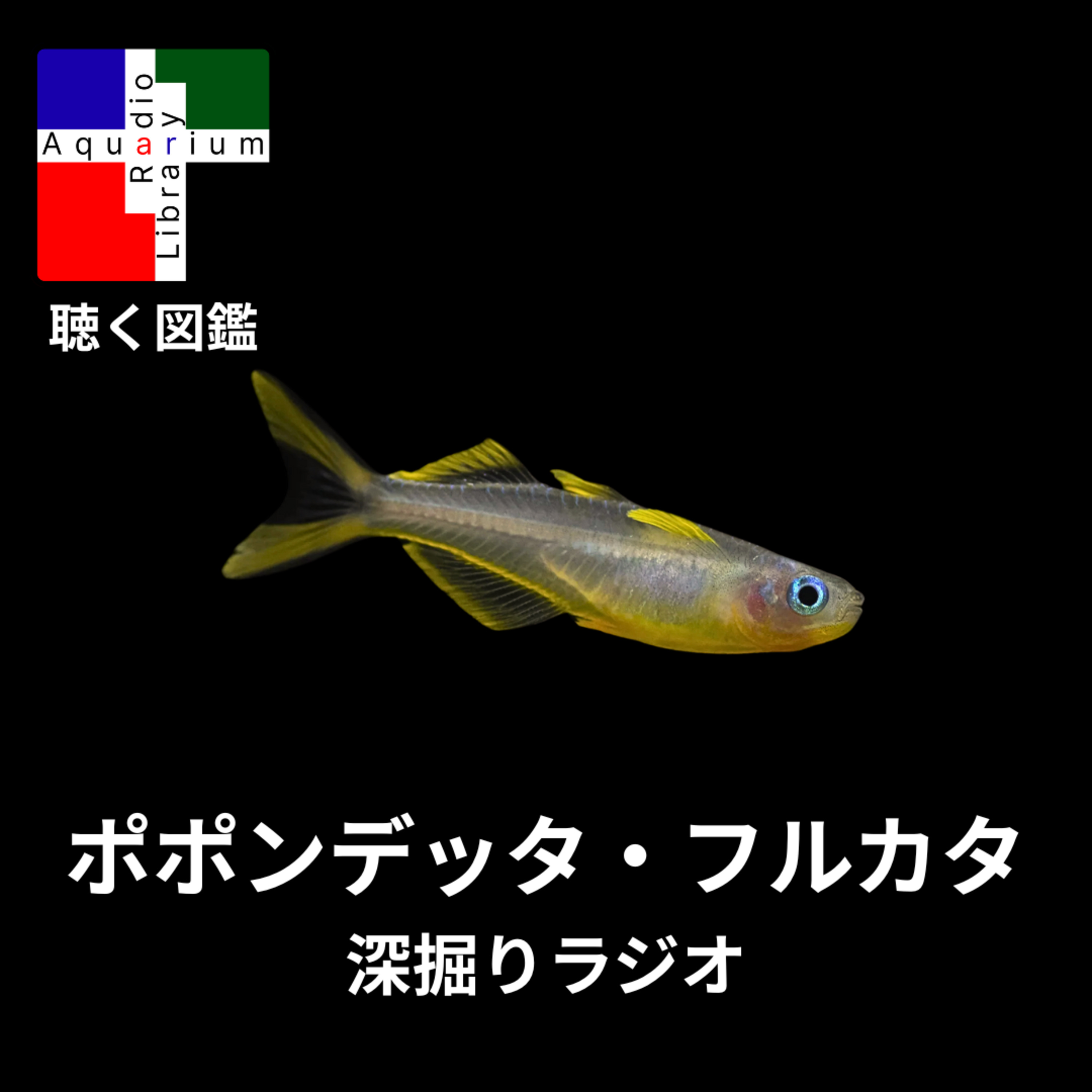 深掘りラジオ：ポポンデッタ・フルカタ ～遺伝的多様性の喪失と保全への課題～ episode artwork