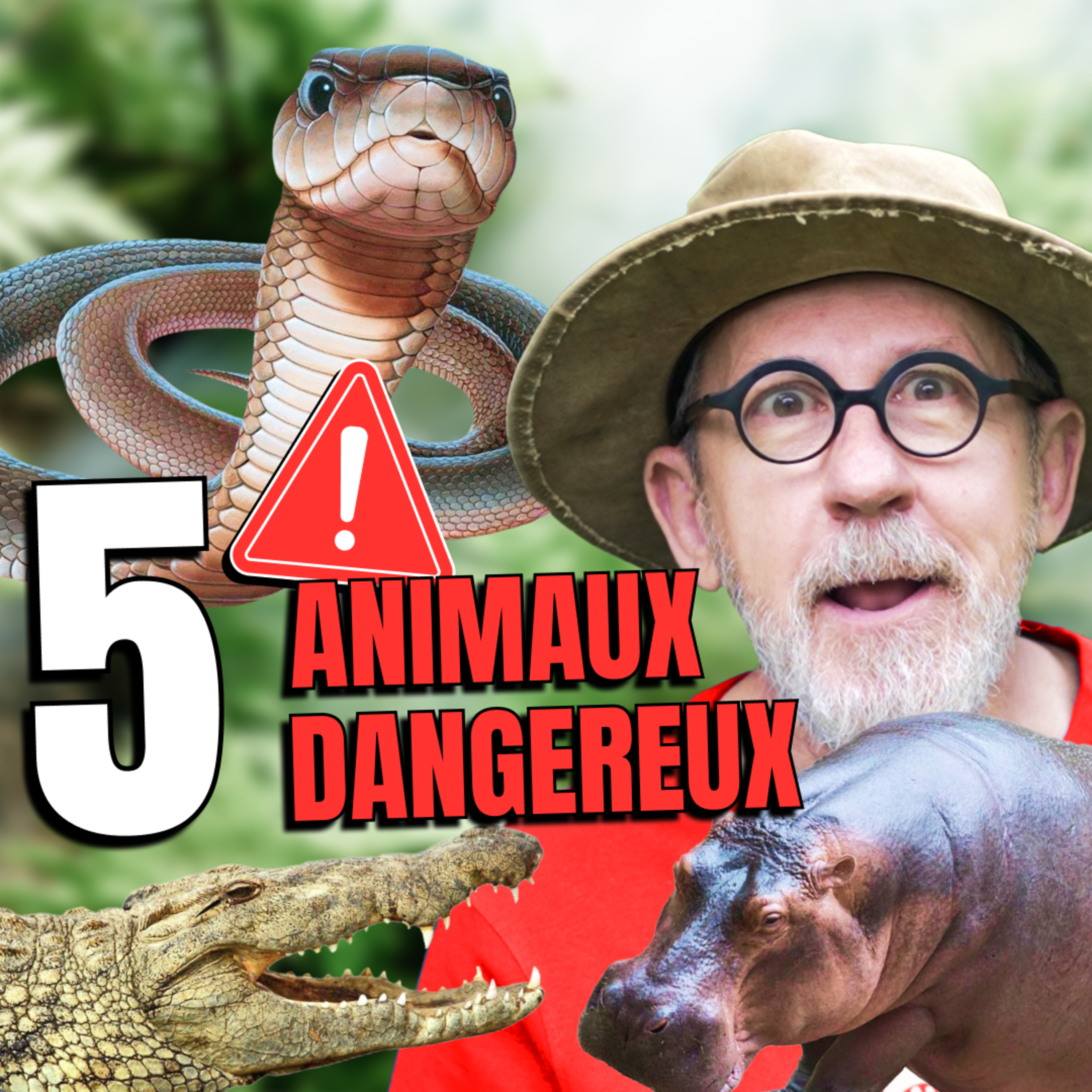 Les animaux les plus DANGEREUX du monde ⚠️ episode artwork