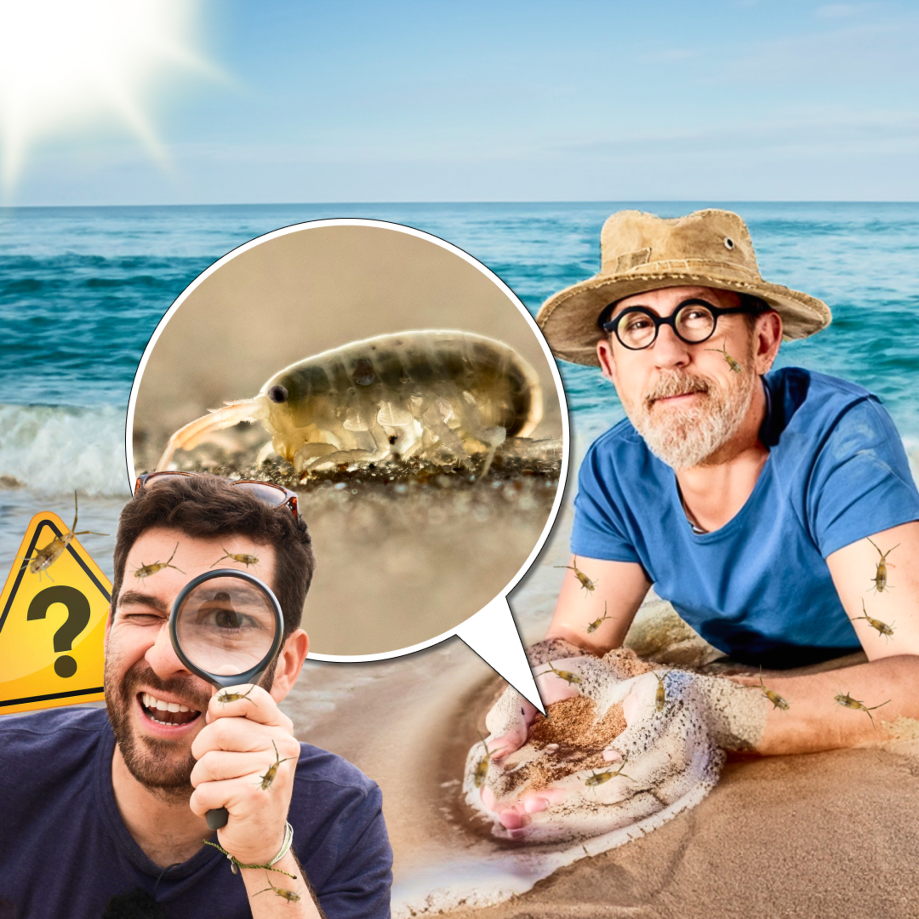 Les animaux qui peuplent nos plages ! 🐙🐳